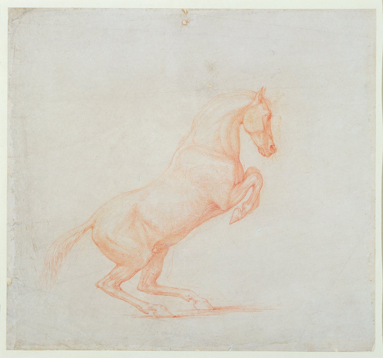 Un Caballo Saltarín, mirando a la derecha, 1790 de George Stubbs