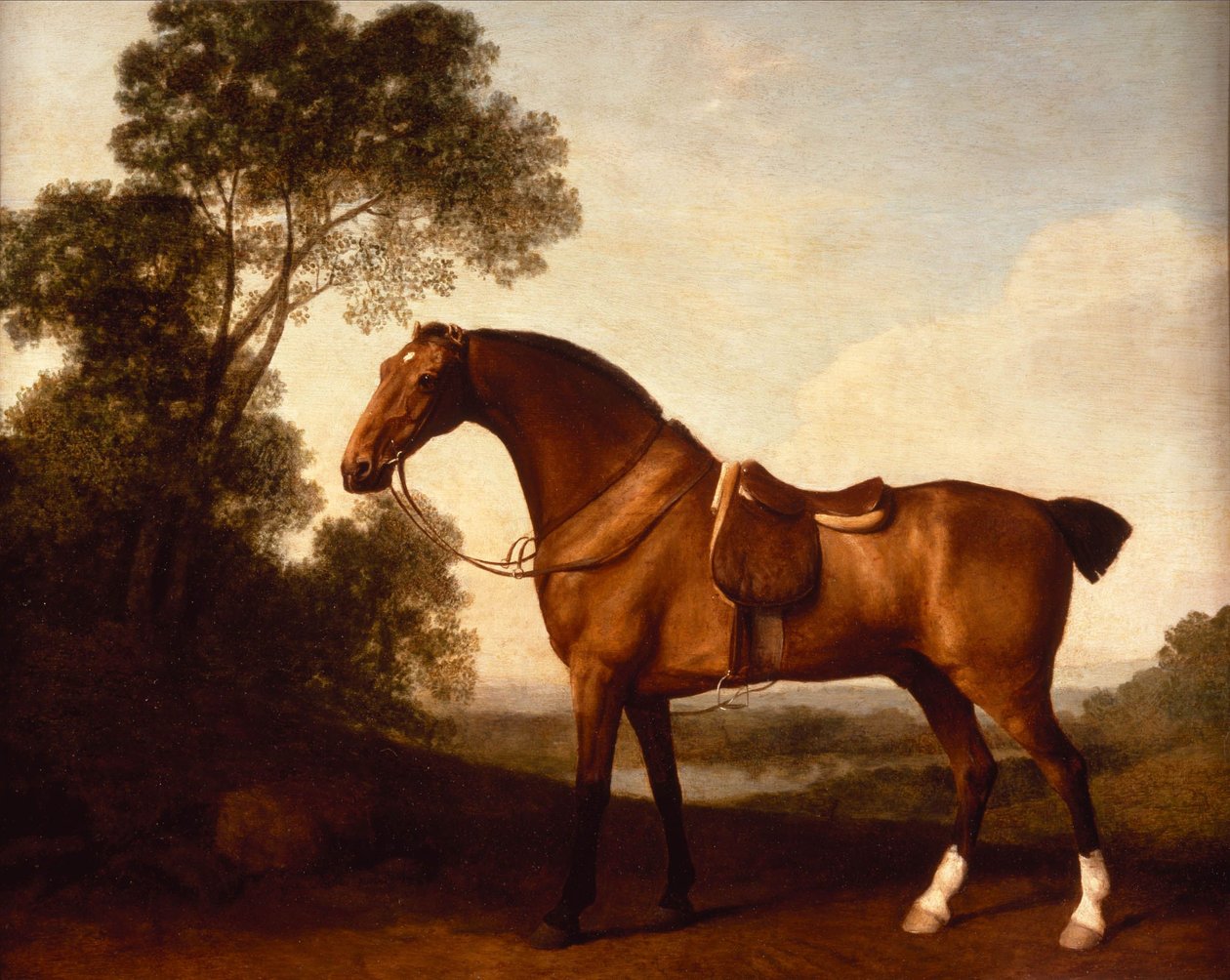 Un cazador de bahía ensillado de George Stubbs