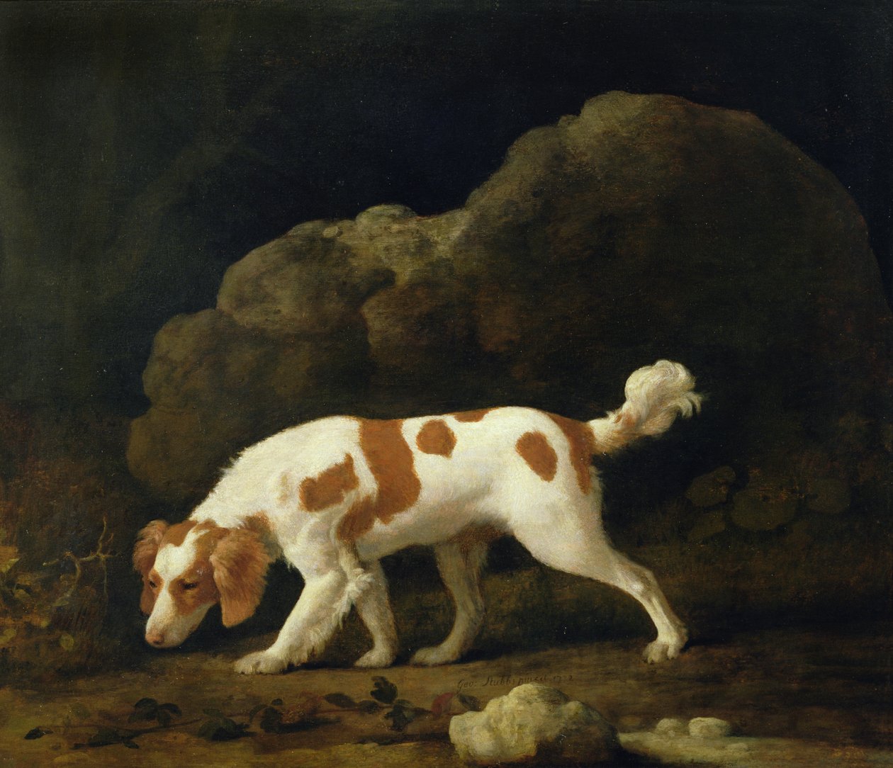 Un spaniel de George Stubbs