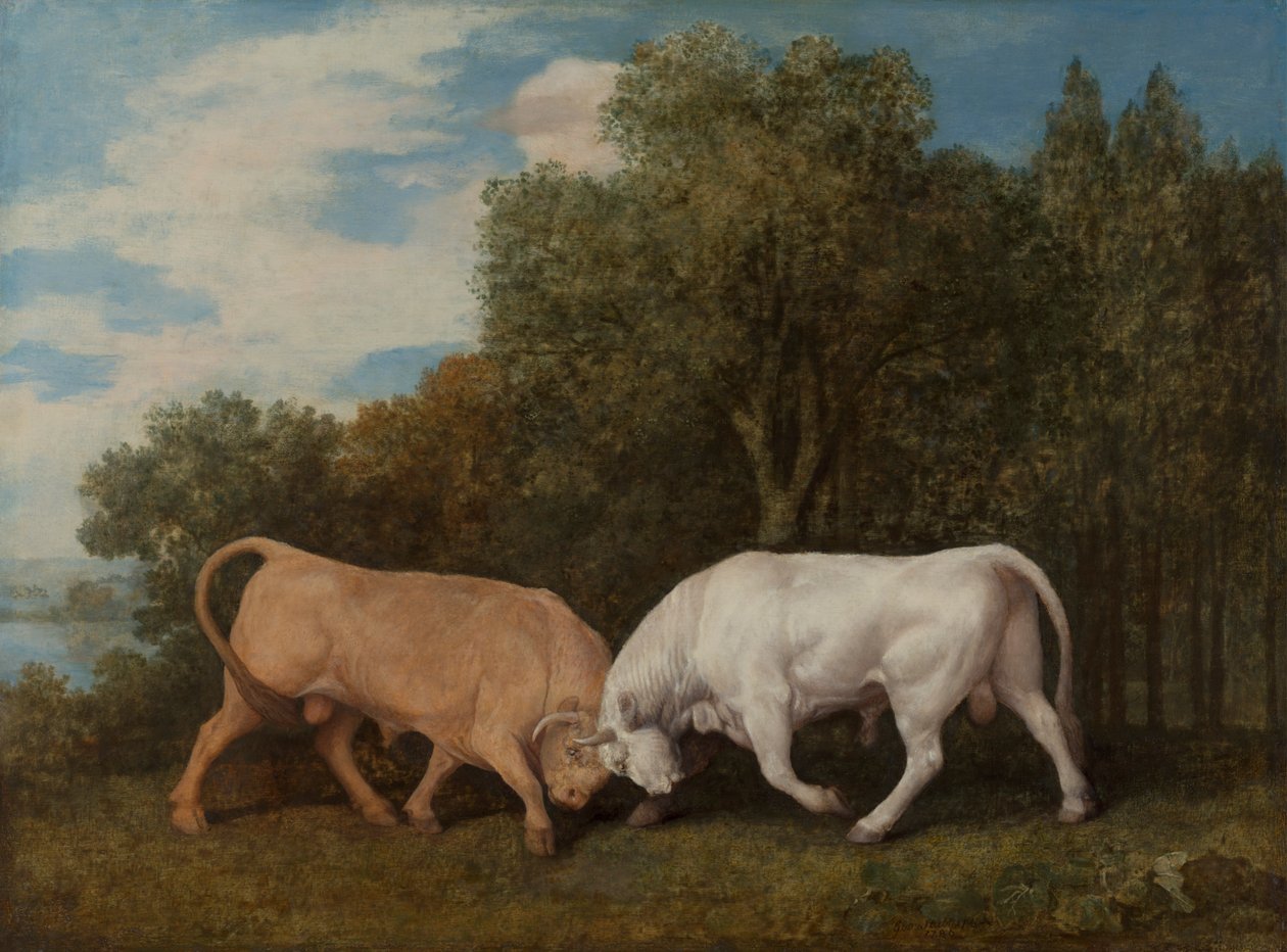 Toros de lidia de George Stubbs
