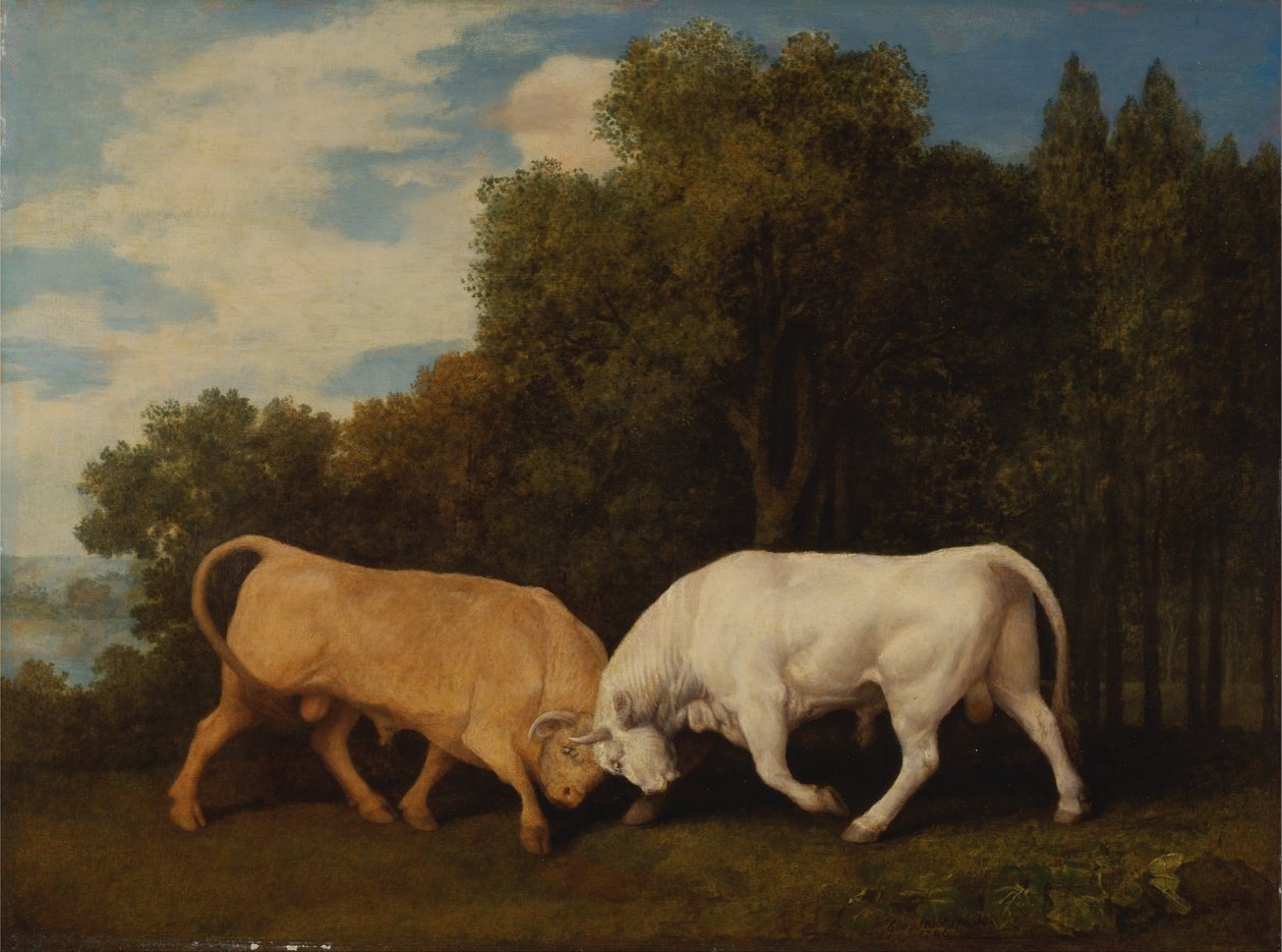 Toros de lidia de George Stubbs