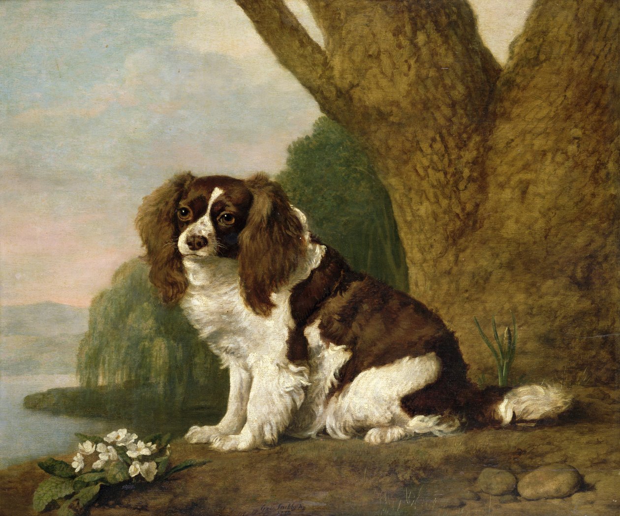 Fanny, un spaniel marrón y blanco de George Stubbs
