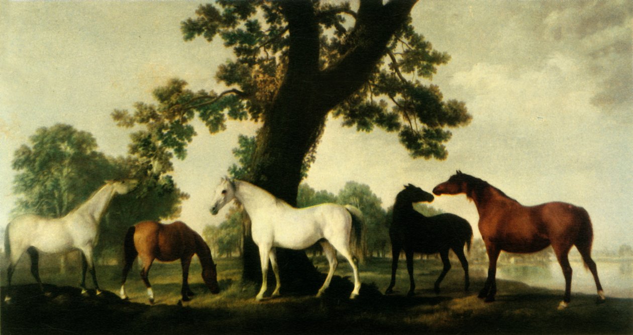 Cinco yeguas en la granja de cría del Duque de Cumberland en Windsor Great Park, 1765, 1944 de George Stubbs