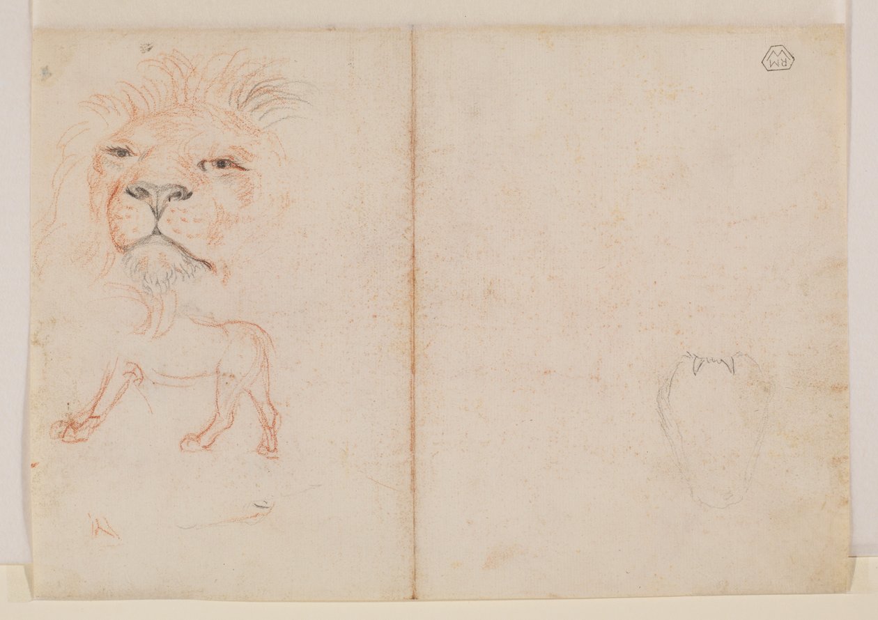 Cabeza de un león, verso, siglo XVIII o XIX de George Stubbs