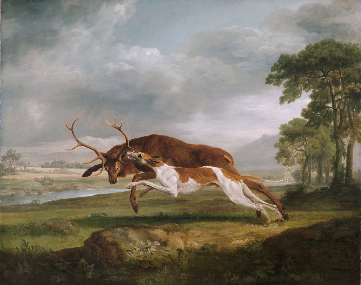 Perro cazando un ciervo de George Stubbs