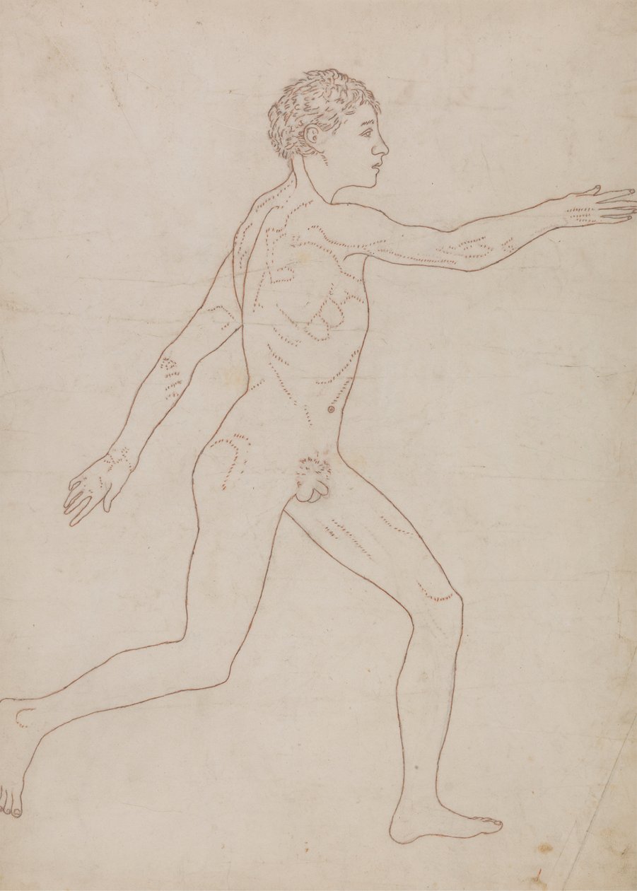 Figura humana, vista lateral (Esquema del estudio en el reverso de la Tabla VIII) de George Stubbs