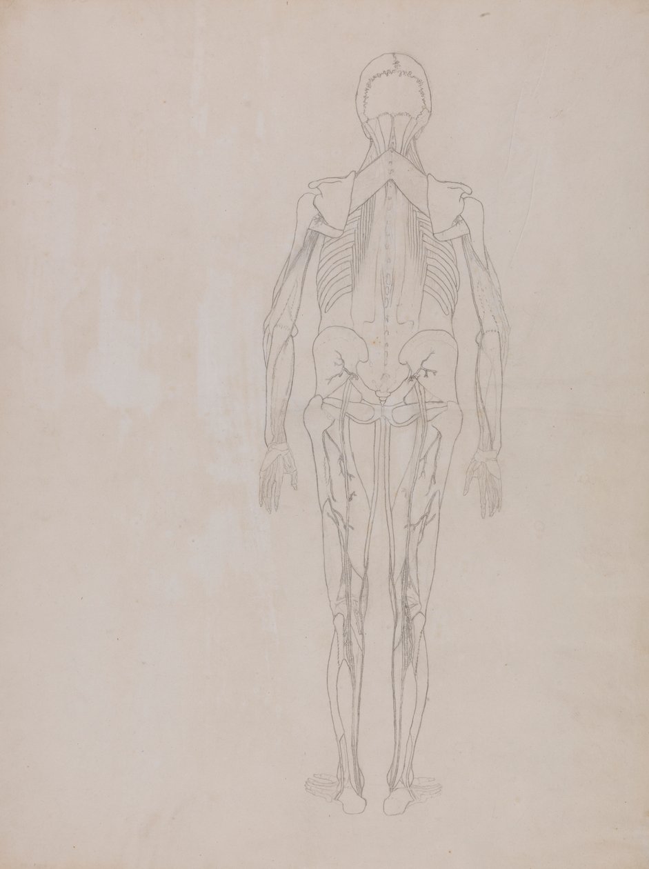 Figura humana, vista posterior (esbozo de la figura clave de una plancha inédita) de George Stubbs