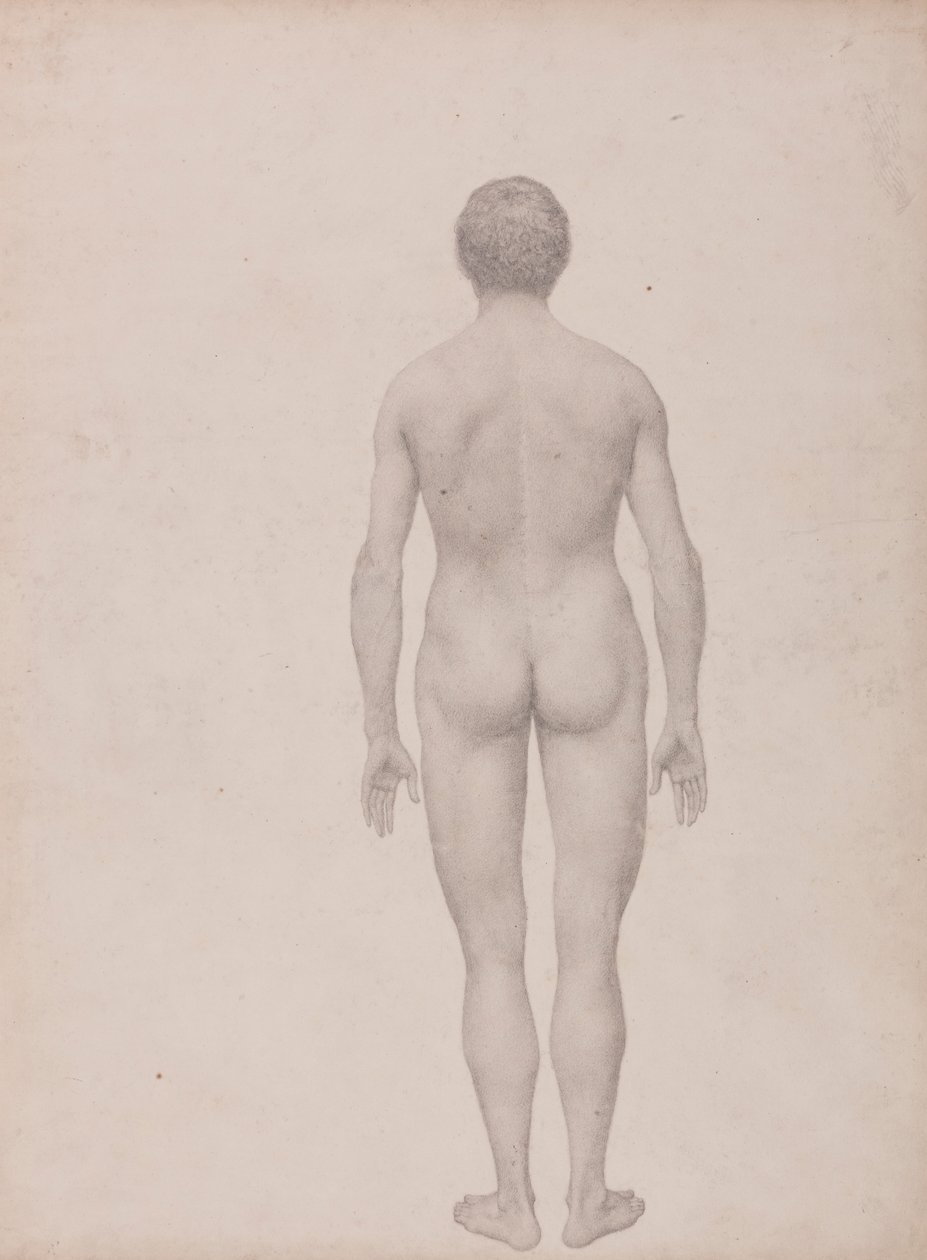 Figura humana, vista posterior, sin diseccionar (estudio terminado para el cuadro VII) de George Stubbs