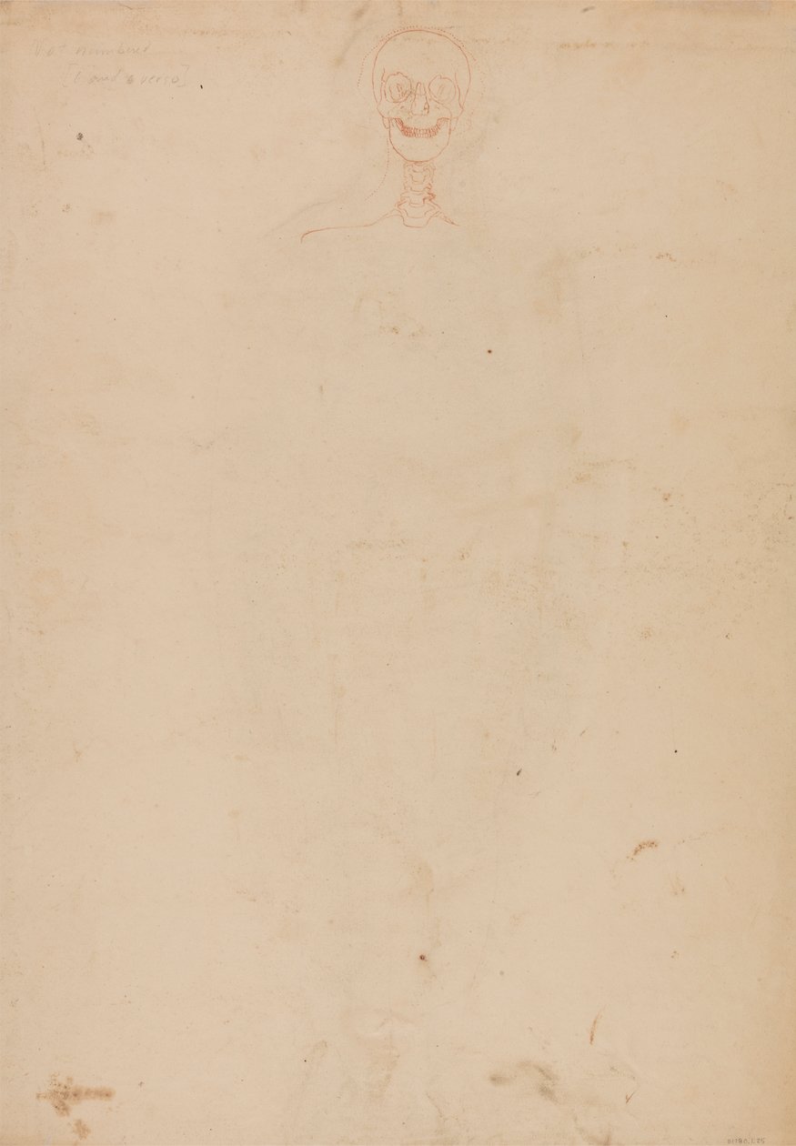 Esqueleto humano, vista anterior de George Stubbs