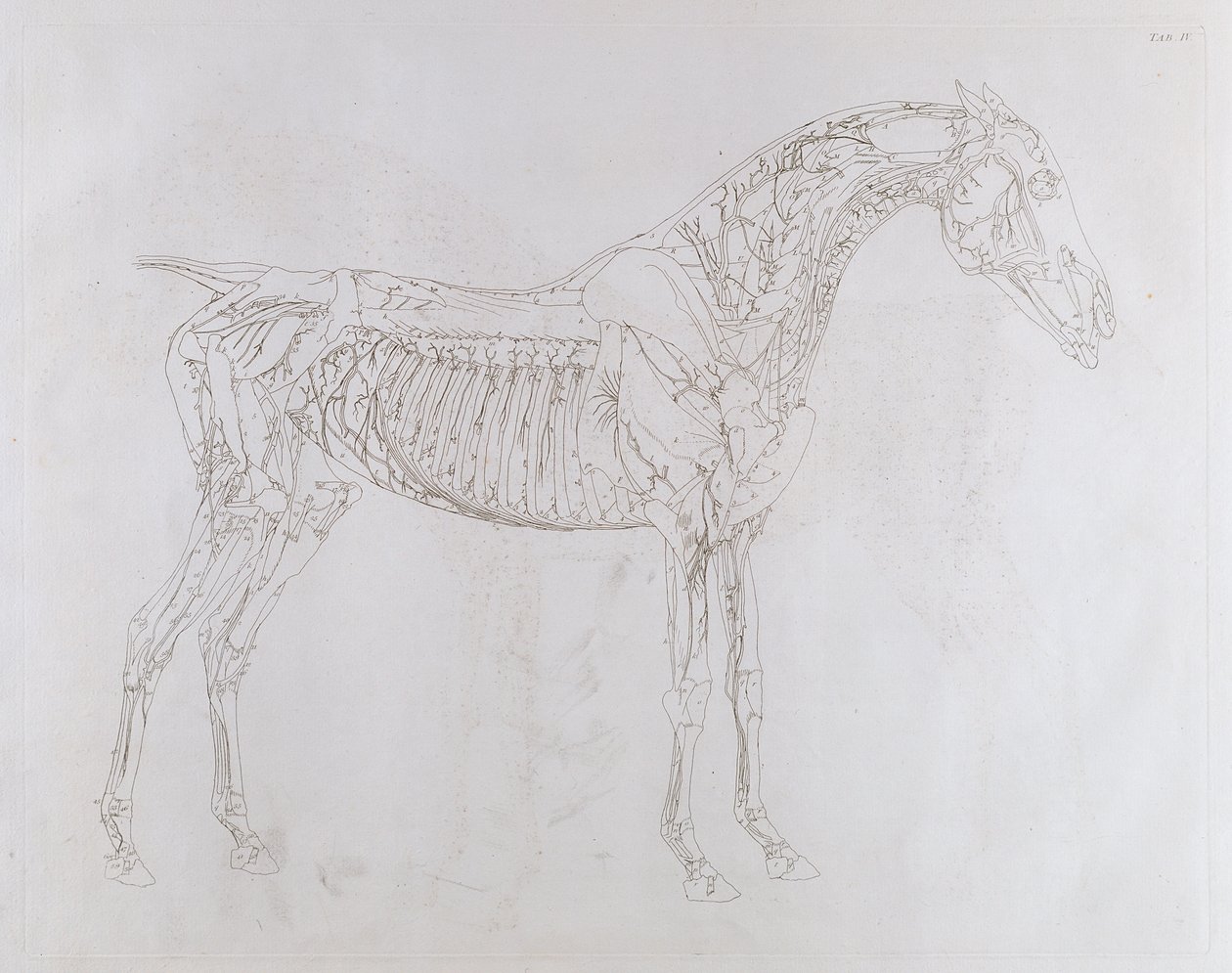 Ilustración de 