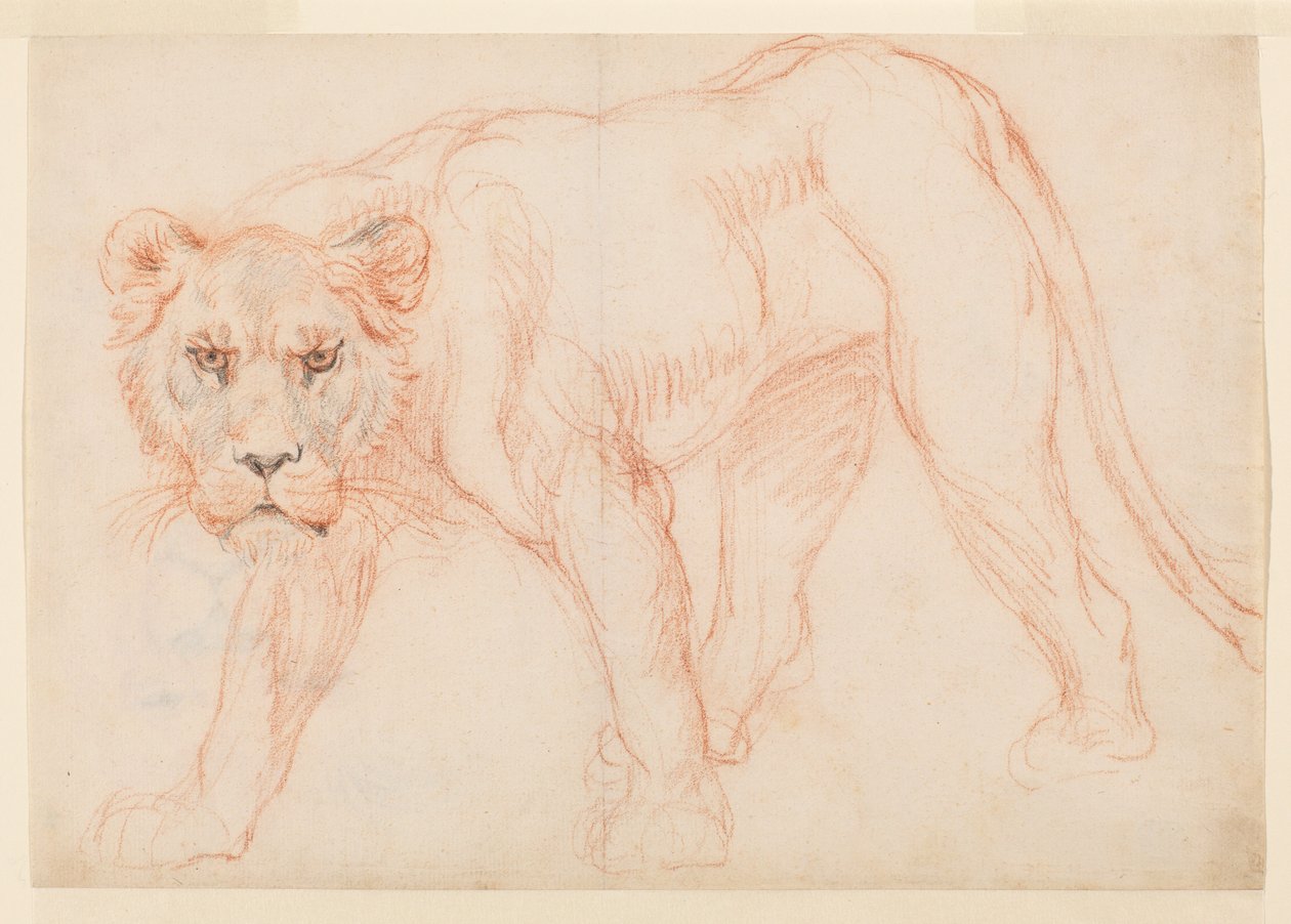 Leona acechando, recto, siglo XVIII o XIX de George Stubbs