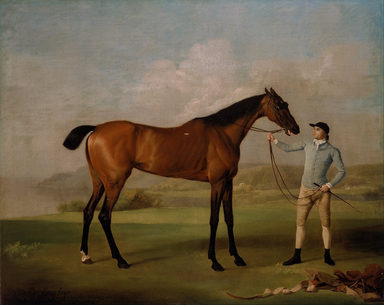 Molly Pataslargas con su Jinete de George Stubbs