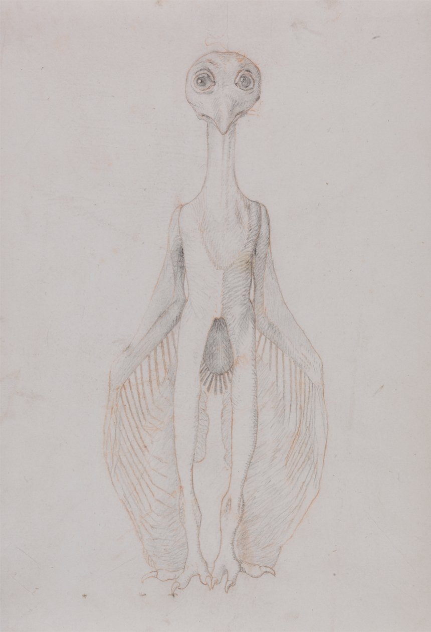 Búho de pie, vista anterior de George Stubbs