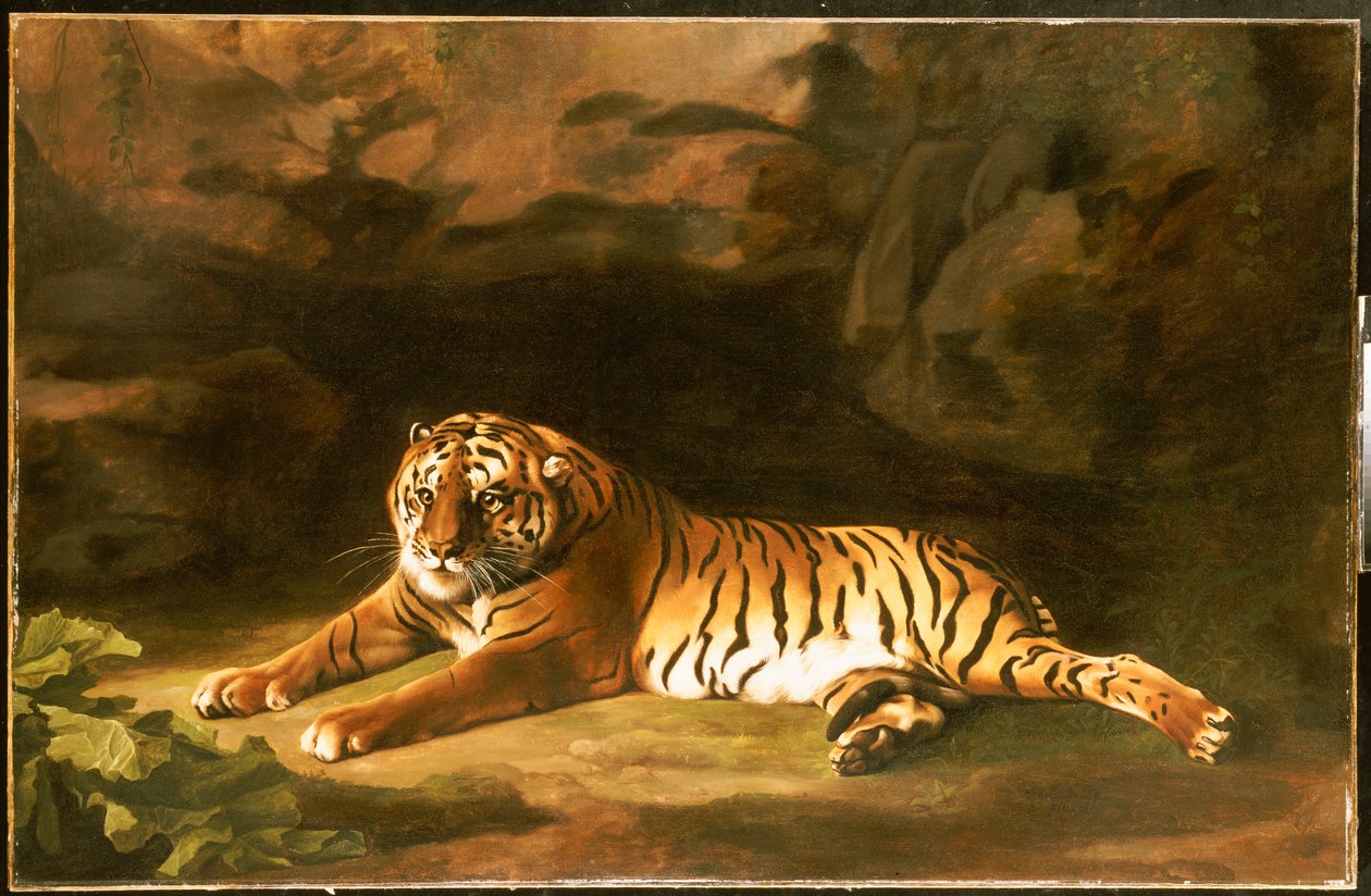 Retrato del Tigre Real, c.1770 de George Stubbs