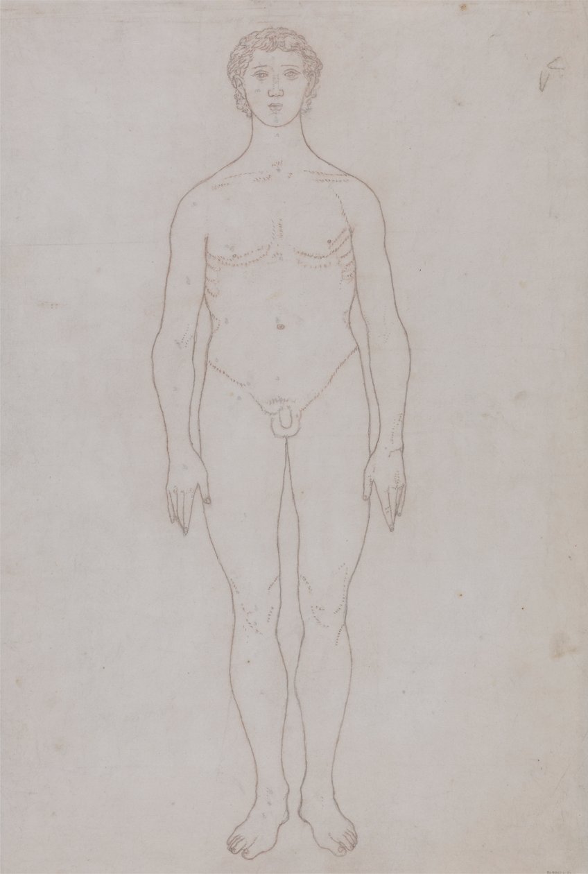 Estudio de la figura humana, vista anterior (Esquema de la tabla VI) de George Stubbs
