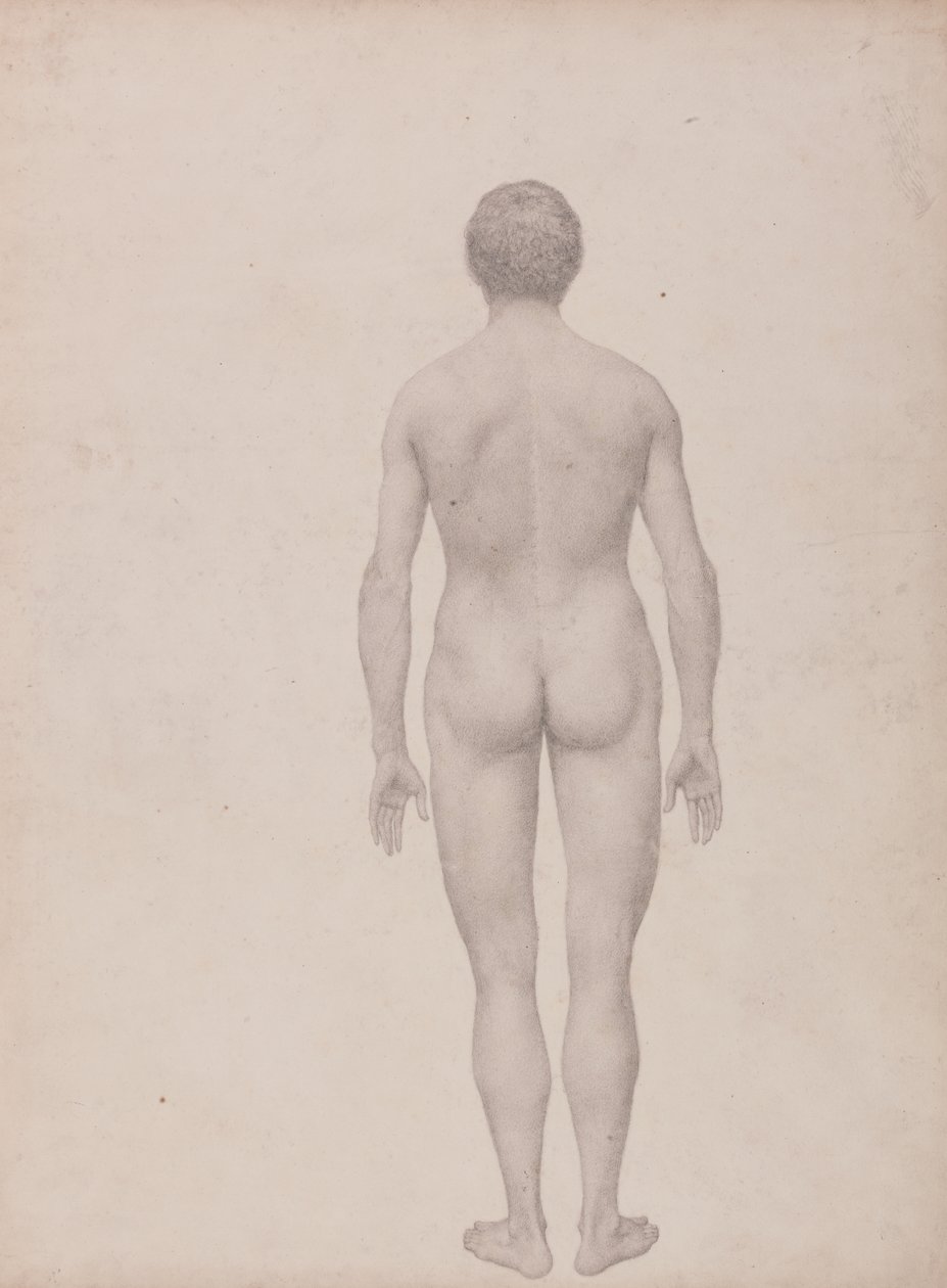 Estudio de la figura humana, vista posterior, no disecada, estudio terminado para la tabla VII, de Una exposición anatómica comparativa de la estructura del cuerpo humano con la de un tigre y un ave común de George Stubbs