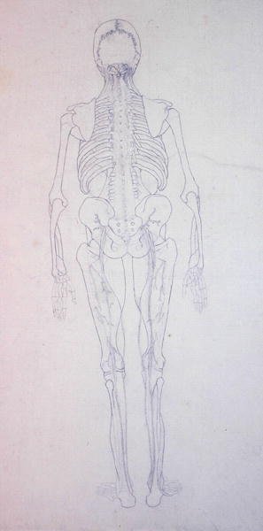 Estudio de la figura humana, vista posterior, de Una exposición anatómica comparativa de la estructura del cuerpo humano con la de un tigre y una gallina común, c.1795-1806 de George Stubbs