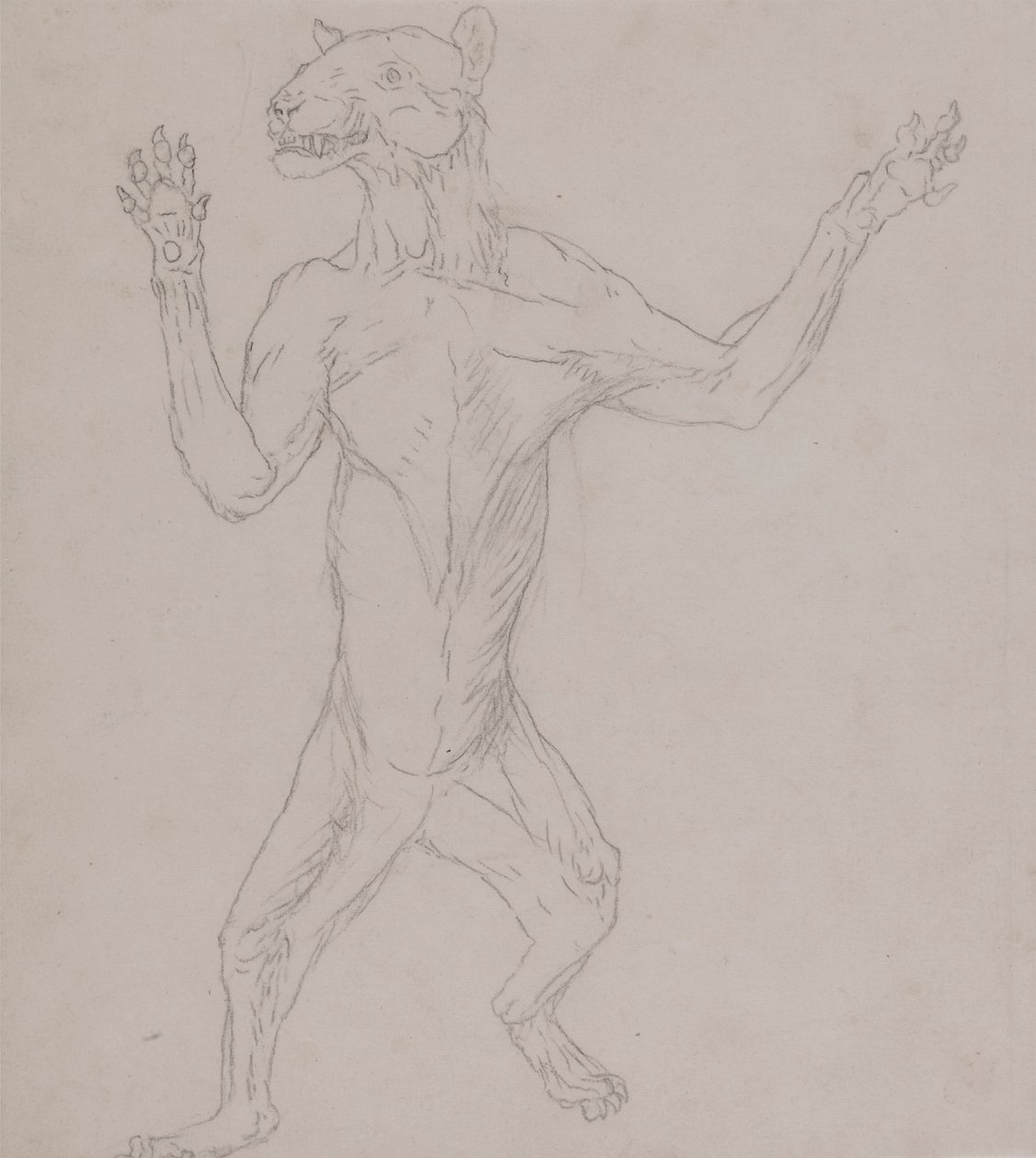 Cuerpo de tigre, de pie en postura humana de George Stubbs