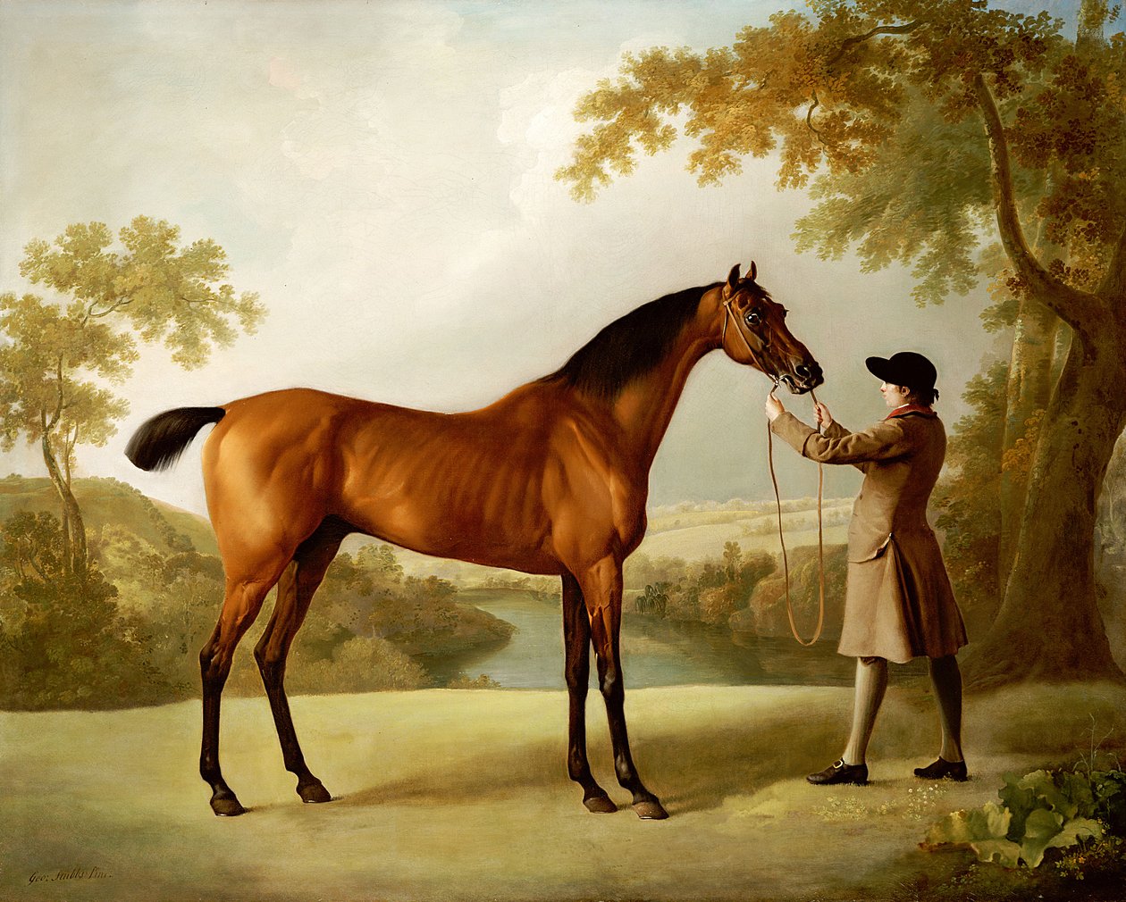 Tristram Shandy, un caballo de carreras bayo sostenido por un mozo de cuadra en un paisaje extenso, c.1760 de George Stubbs