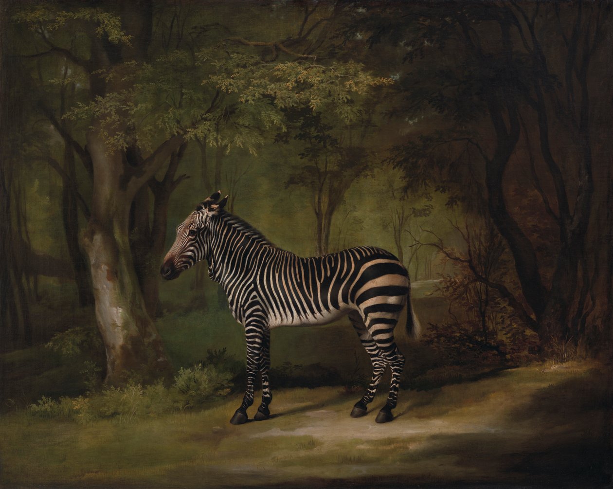 Cebra de George Stubbs