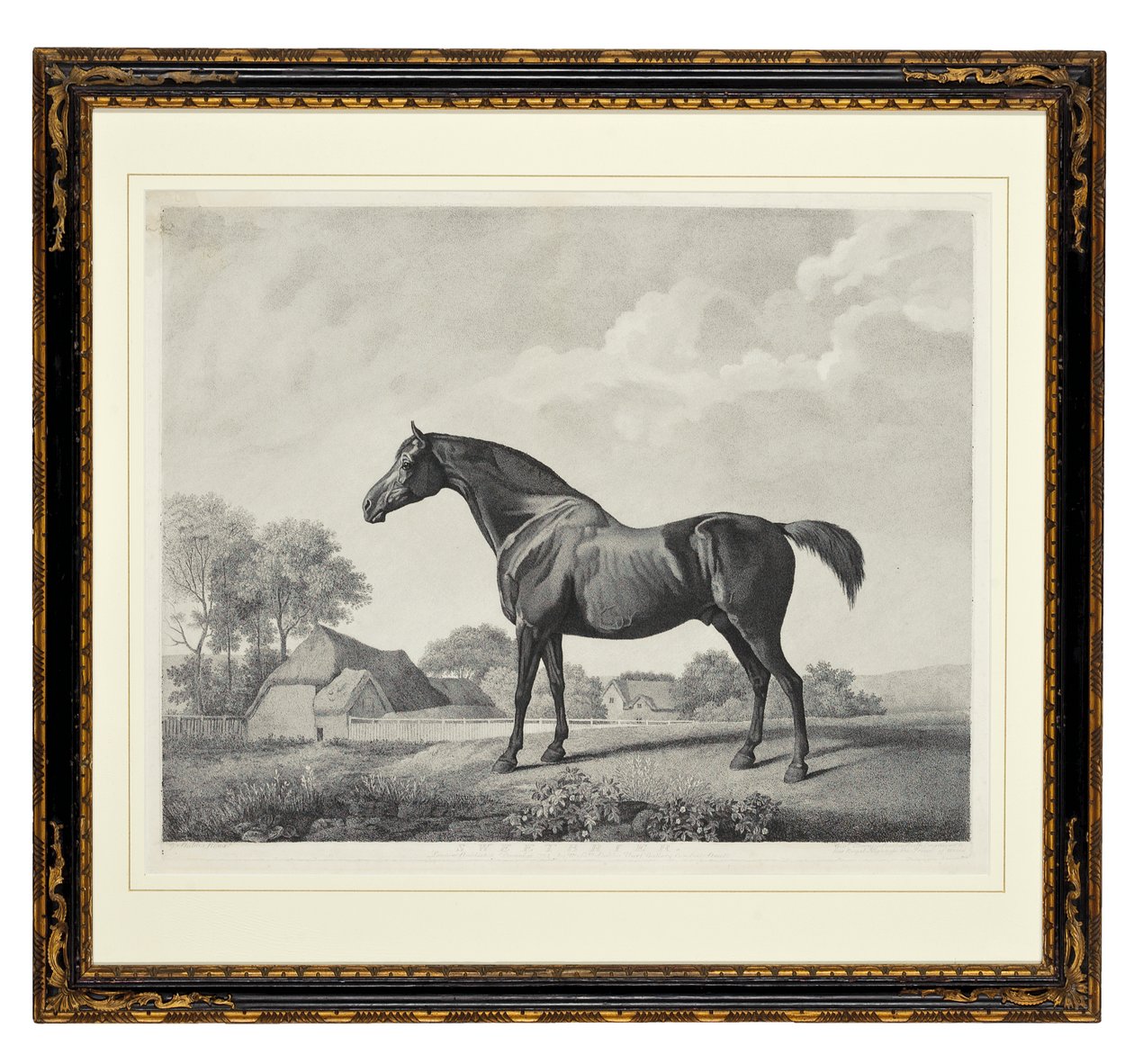 Escaramujo de George Townley Stubbs