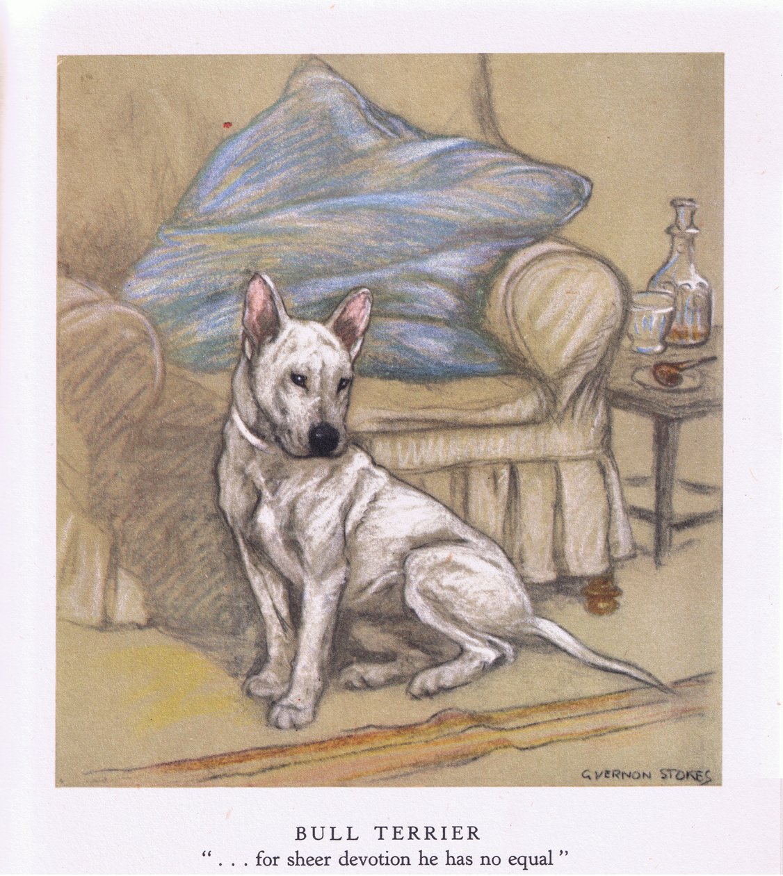 Bull Terrier (litografía en color) de George Vernon Stokes