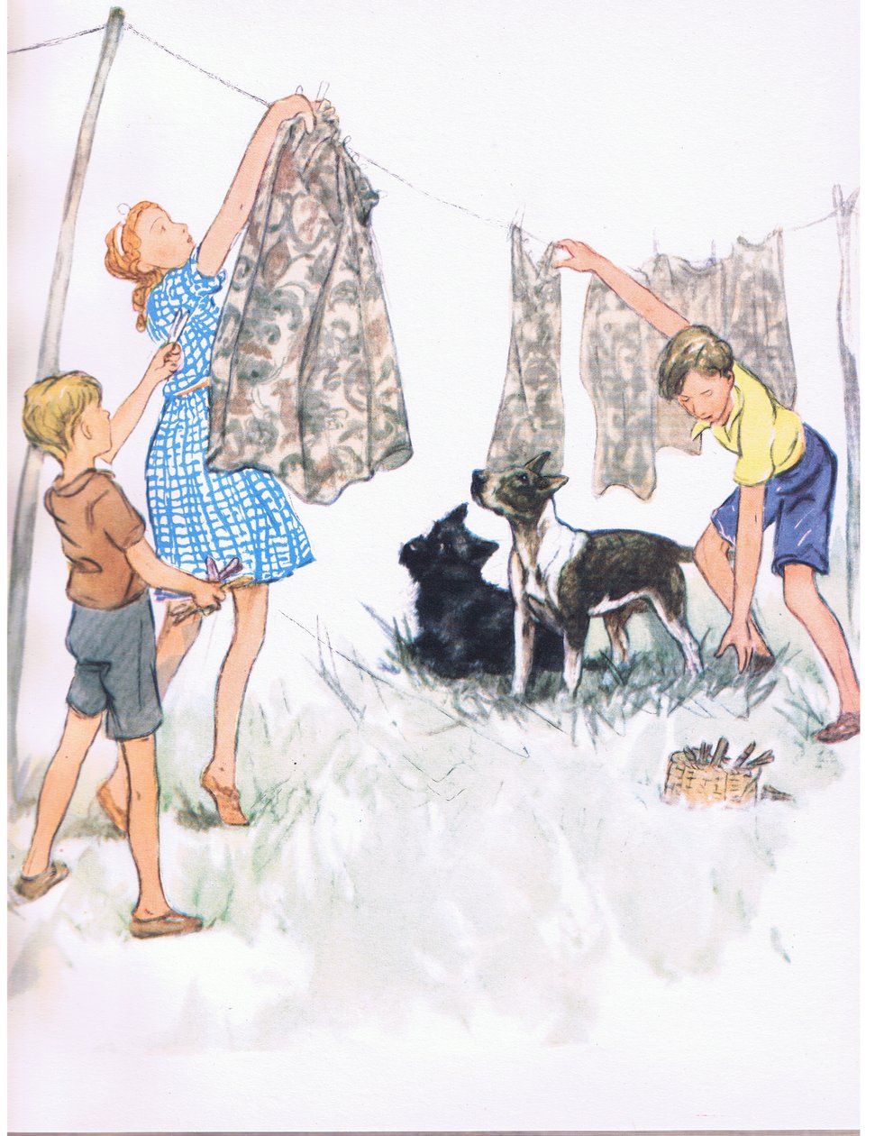 Colgar la colada en el tendedero-Nobby el Bull terrier y Ferdinand el Aberdeen, de Pets Limited publicado por Collins de George Vernon Stokes