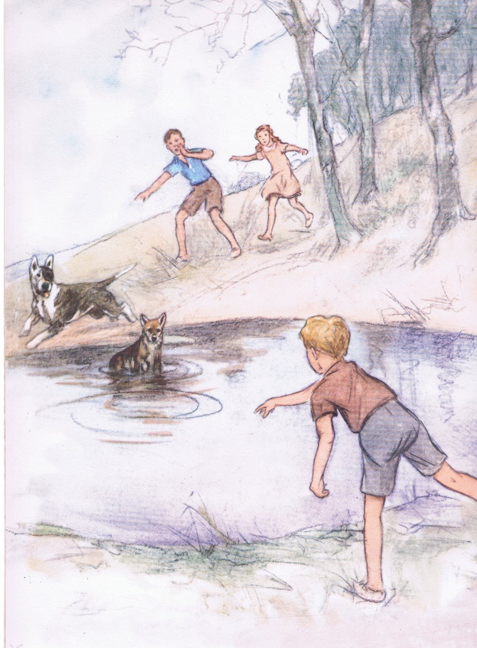 En el estanque, de Pets Limited publicado por Collins de George Vernon Stokes