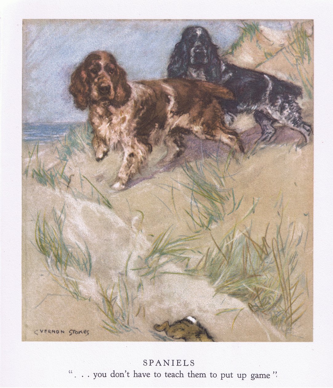 Spaniels (litografía en color) de George Vernon Stokes
