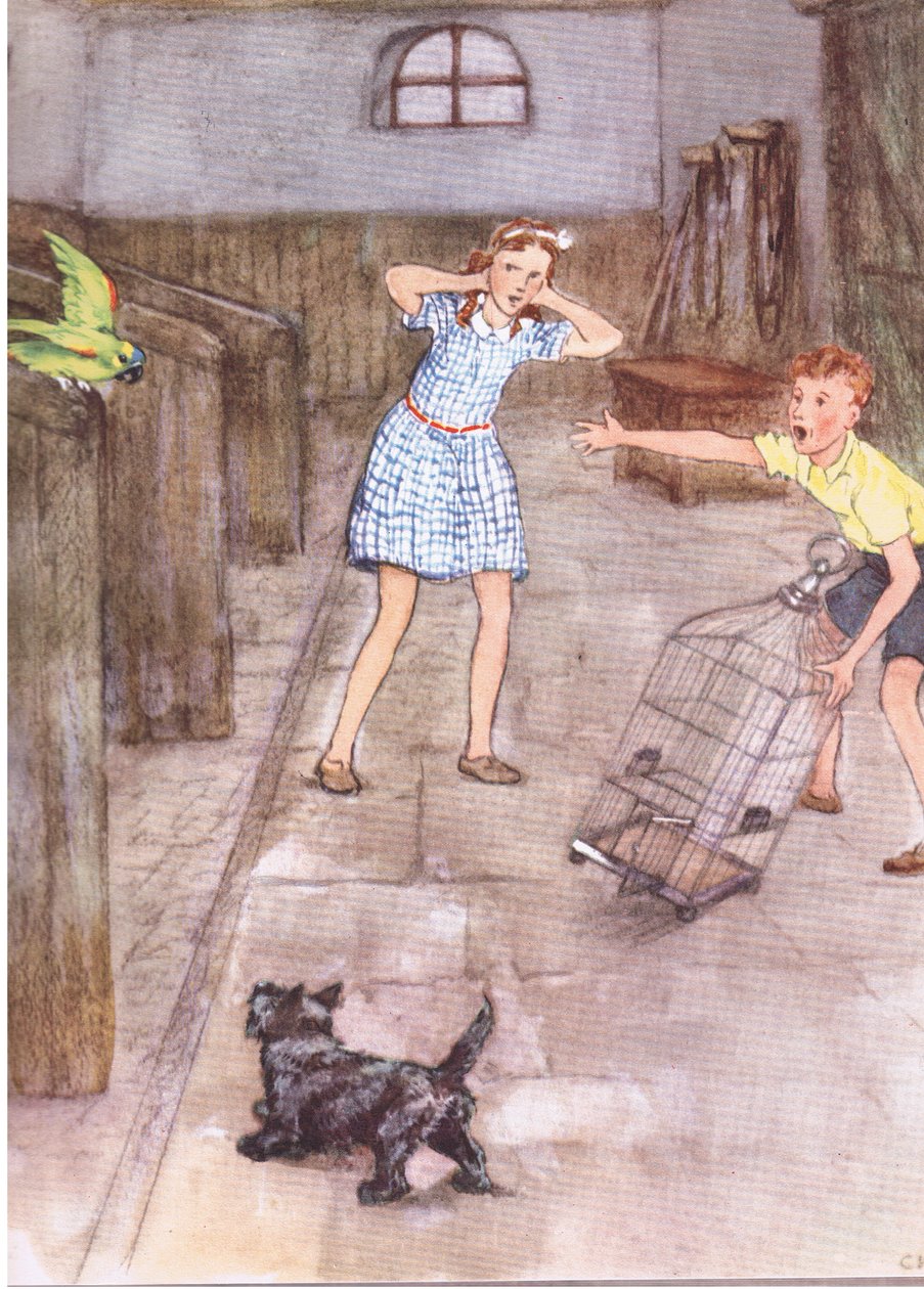 El loro empezó a decir groserías, de Pets Limited publicado por Collins de George Vernon Stokes