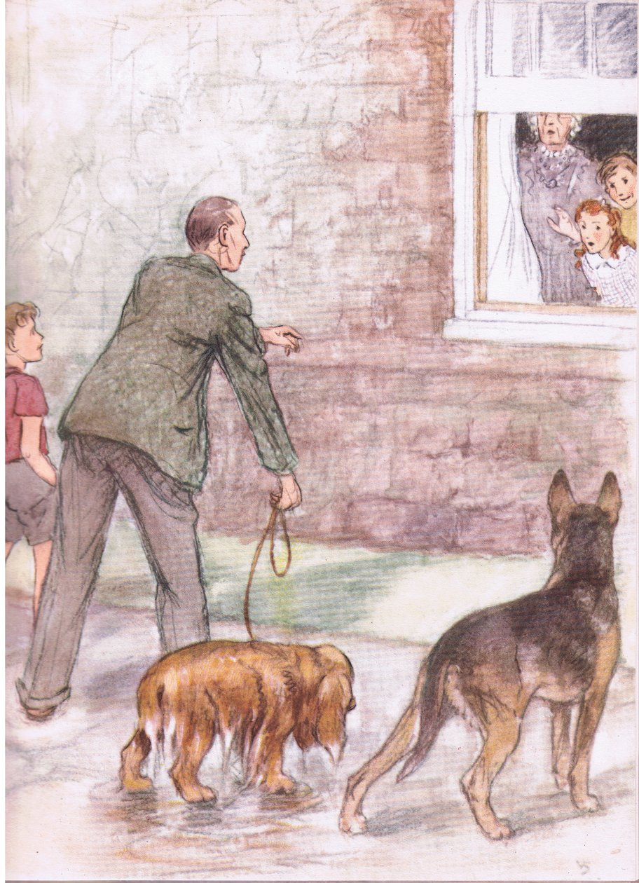 Los spaniels estaban empapados de barro y baba, de Pets Limited publicado por Collins de George Vernon Stokes