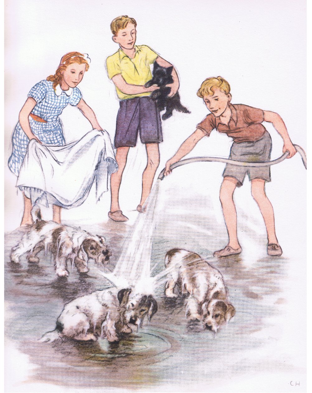 Lavar a los perros, de Pets Limited publicado por Collins de George Vernon Stokes