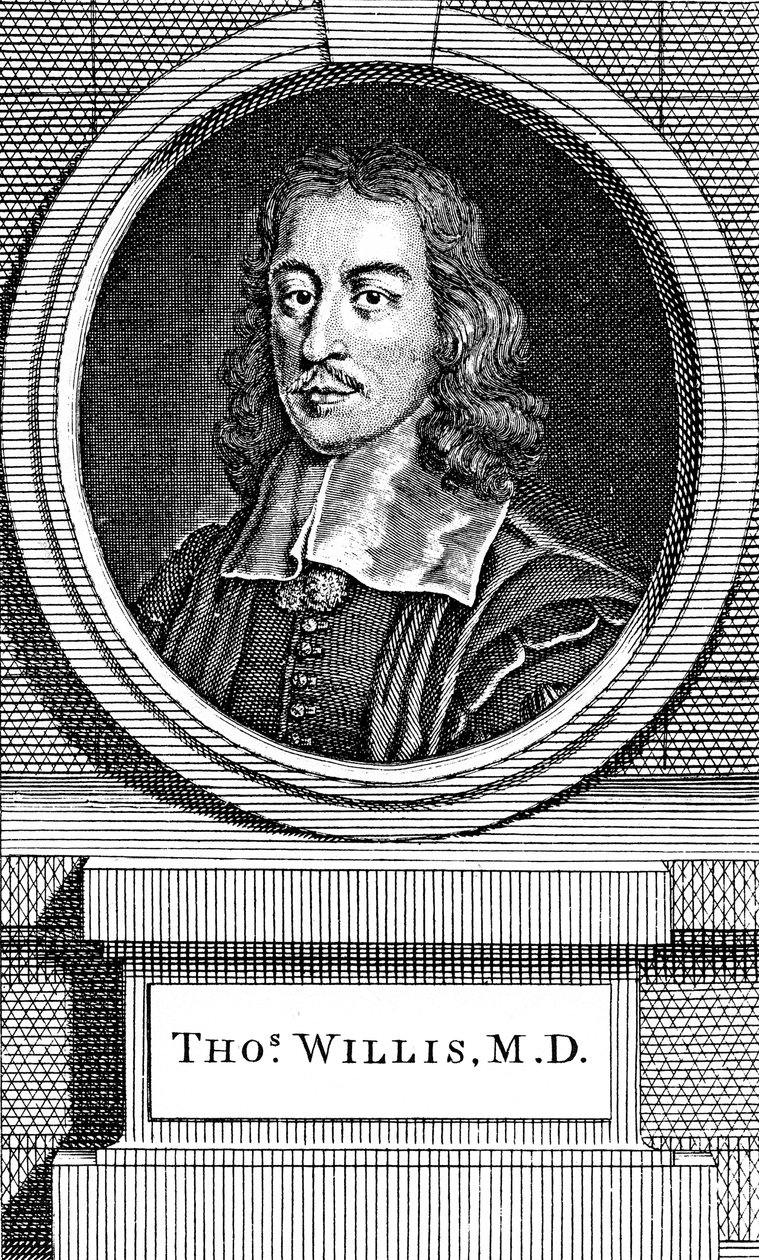 Thomas Willis, médico inglés del siglo XVII, 1742 de George Vertue