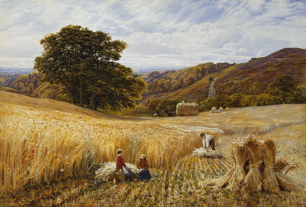Tiempo de cosecha cerca de Holmbury Hill, Surrey de George Vicat Cole