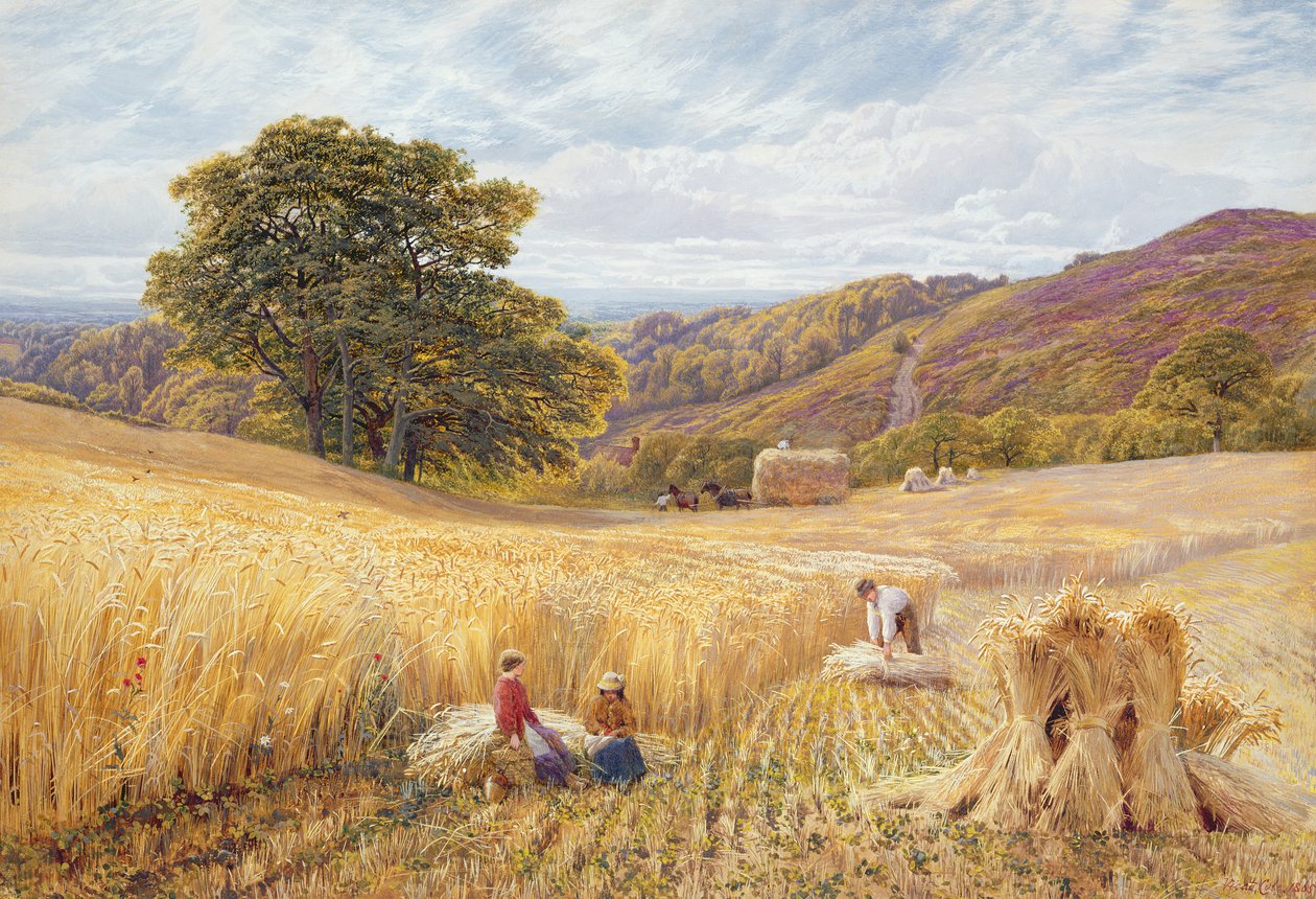Tiempo de cosecha cerca de Holmbury Hill, Surrey, 1865 de George Vicat Cole