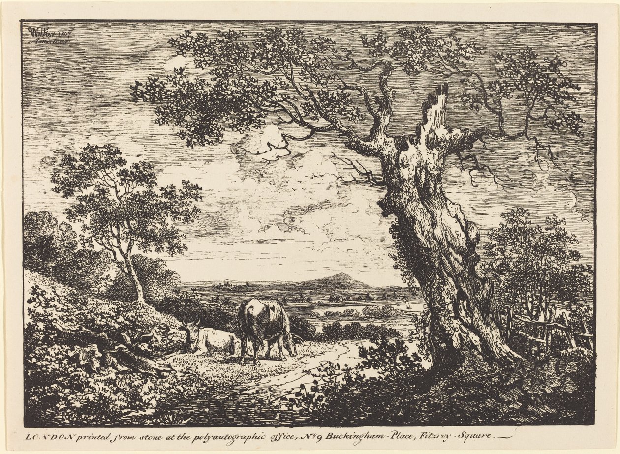 Paisaje con Dos Vacas de George Walker