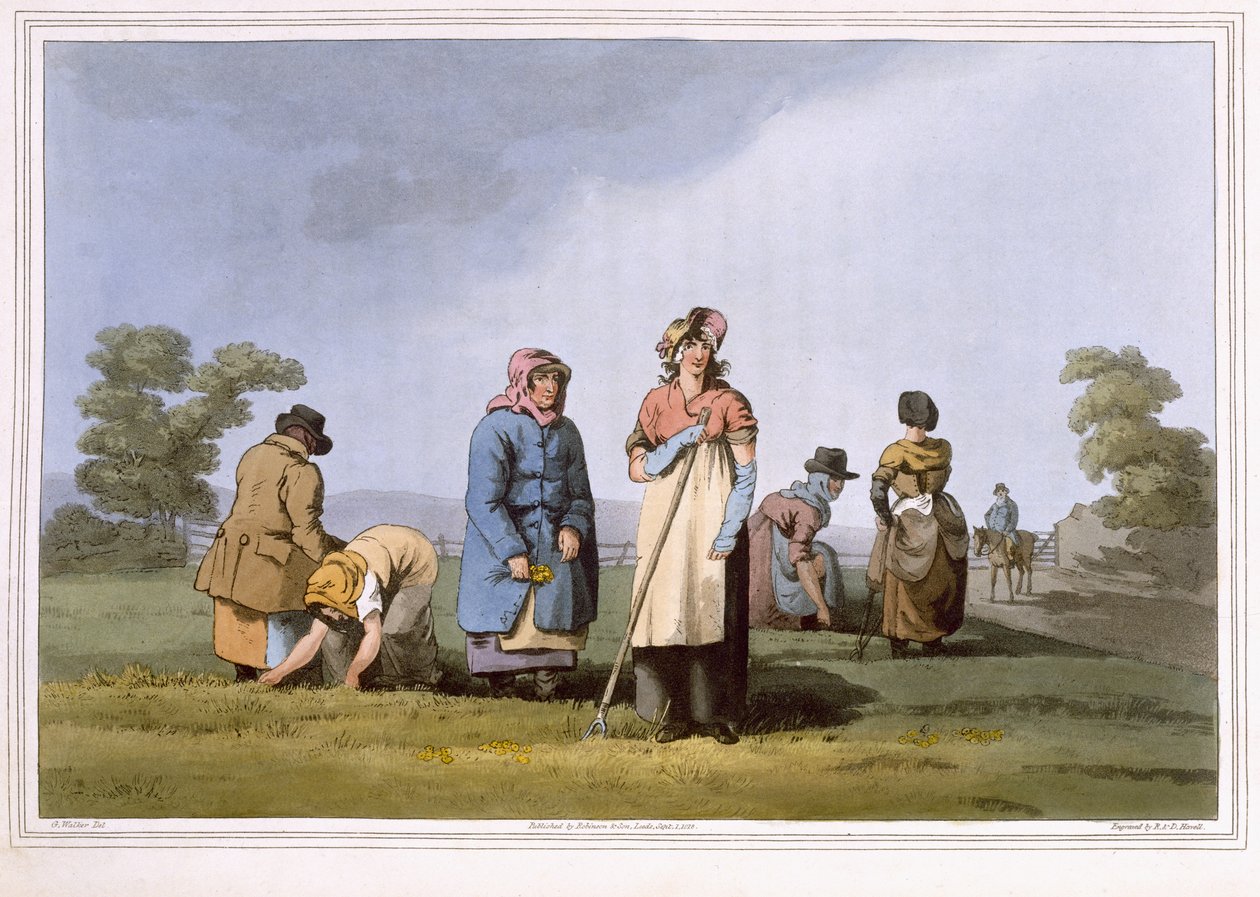 Lowkers, grabado por Robert Havell el Viejo, publicado en 1814 por Robinson y Son, Leeds de George Walker