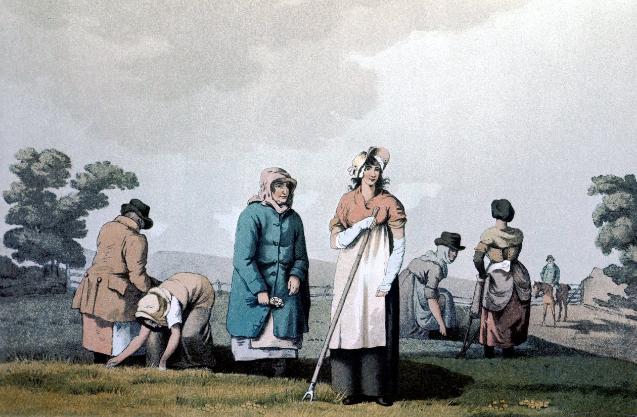 Lowkers - mujeres que desyerban maíz, 1814 de George Walker of Seacroft