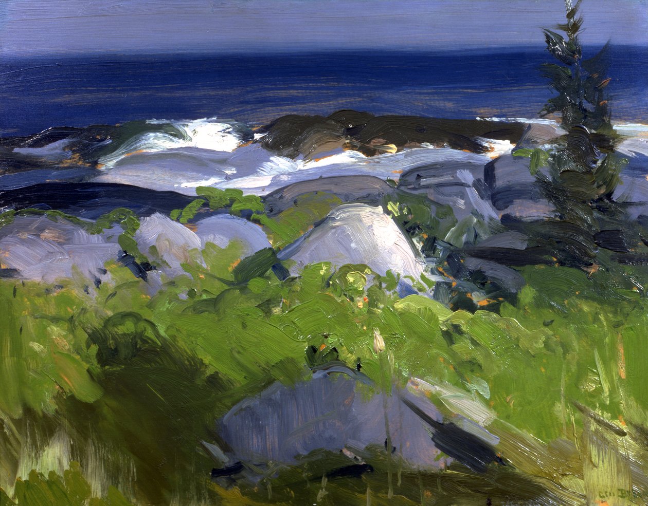 Costa Cubierta de Viñas--Isla Monhegan de George Wesley Bellows