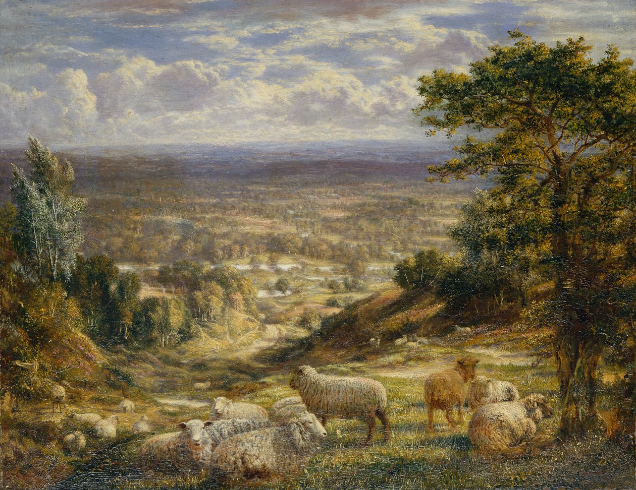 Paisaje de Verano con Ovejas de George William Mote