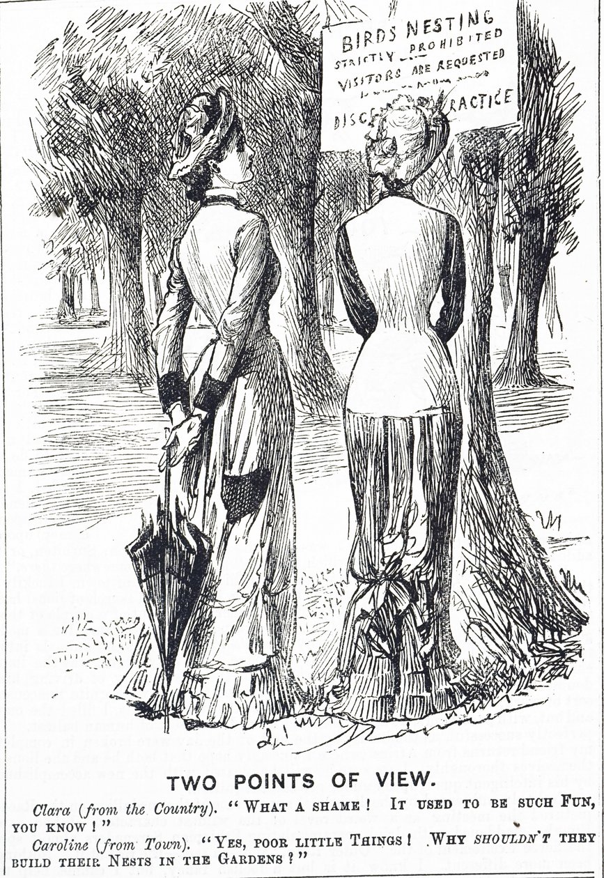 Caricatura comentando sobre la Ley de Protección de Aves de 1880 de George du Maurier