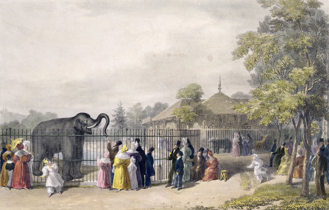 La Casa del Elefante en los Jardines Zoológicos, Regent