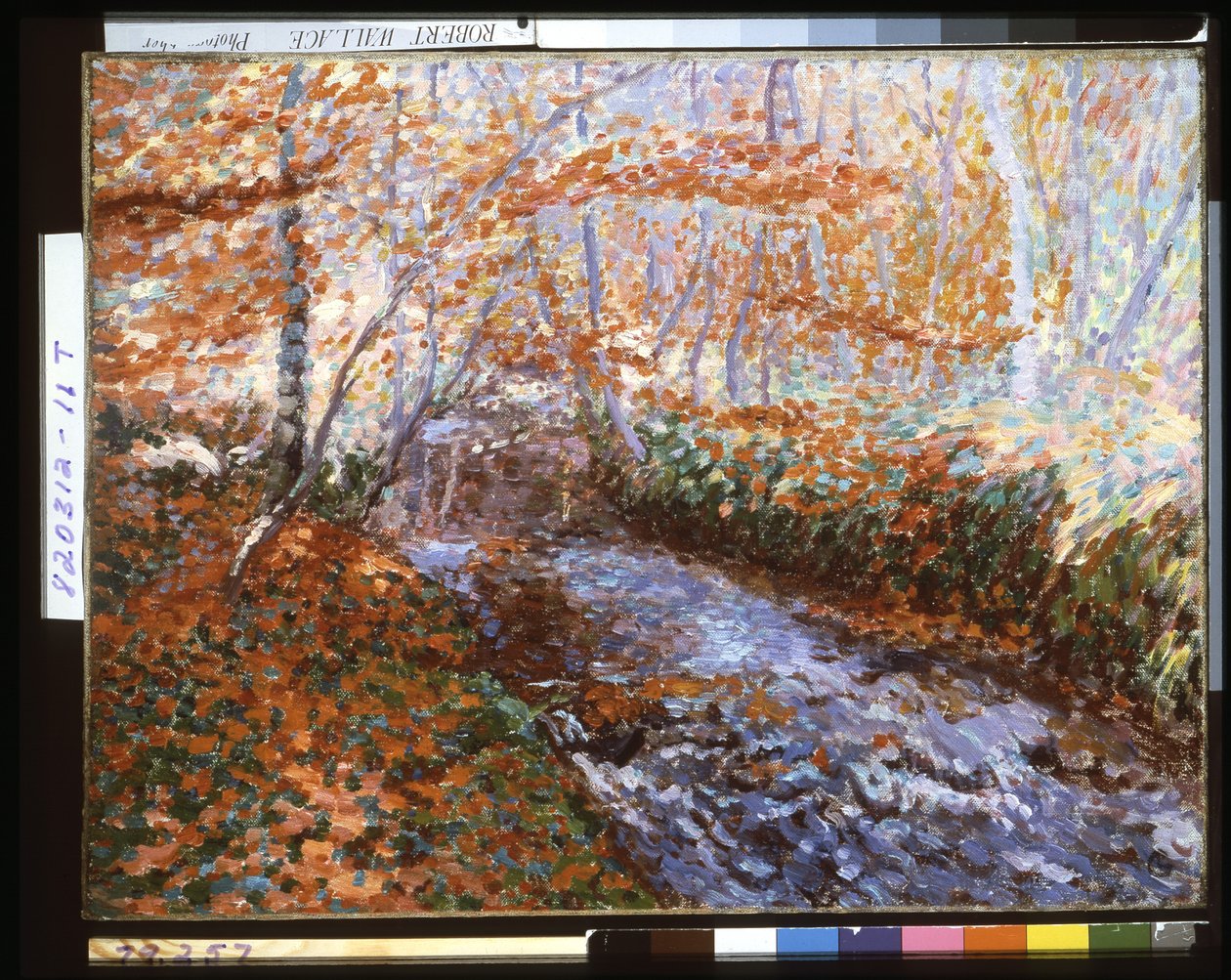 El río Briante (Interior del bosque en otoño) (óleo sobre lienzo) de Georges Lacombe