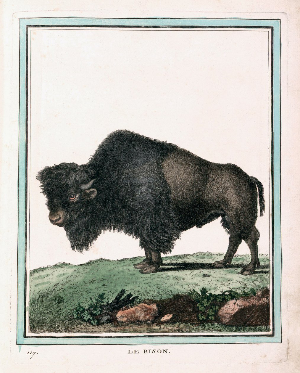 Estampa Antigua del Búfalo Americano de Georges Louis Leclerc