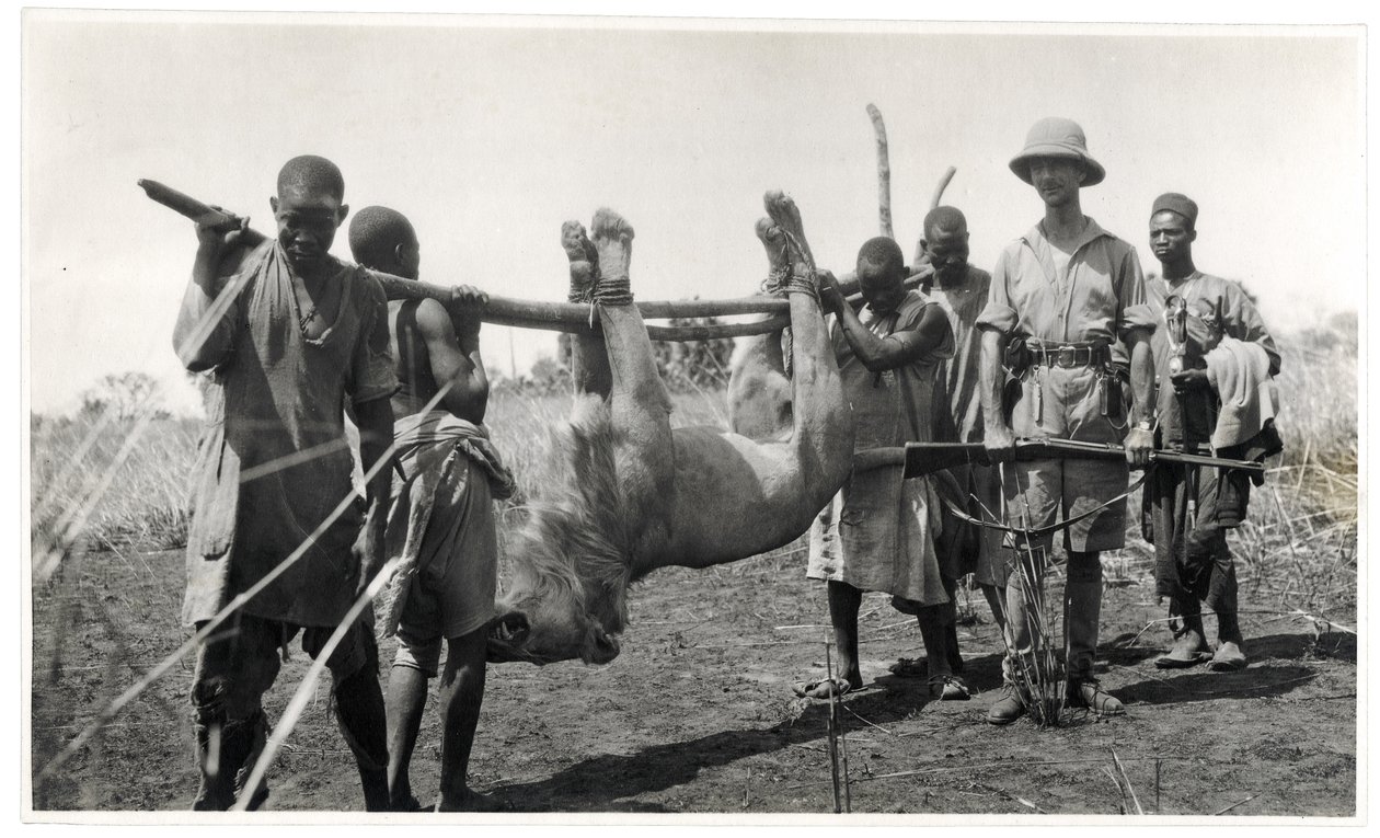 León en Bahr el Ghazal, Am Dafok, 1925 de Georges Marie Haardt