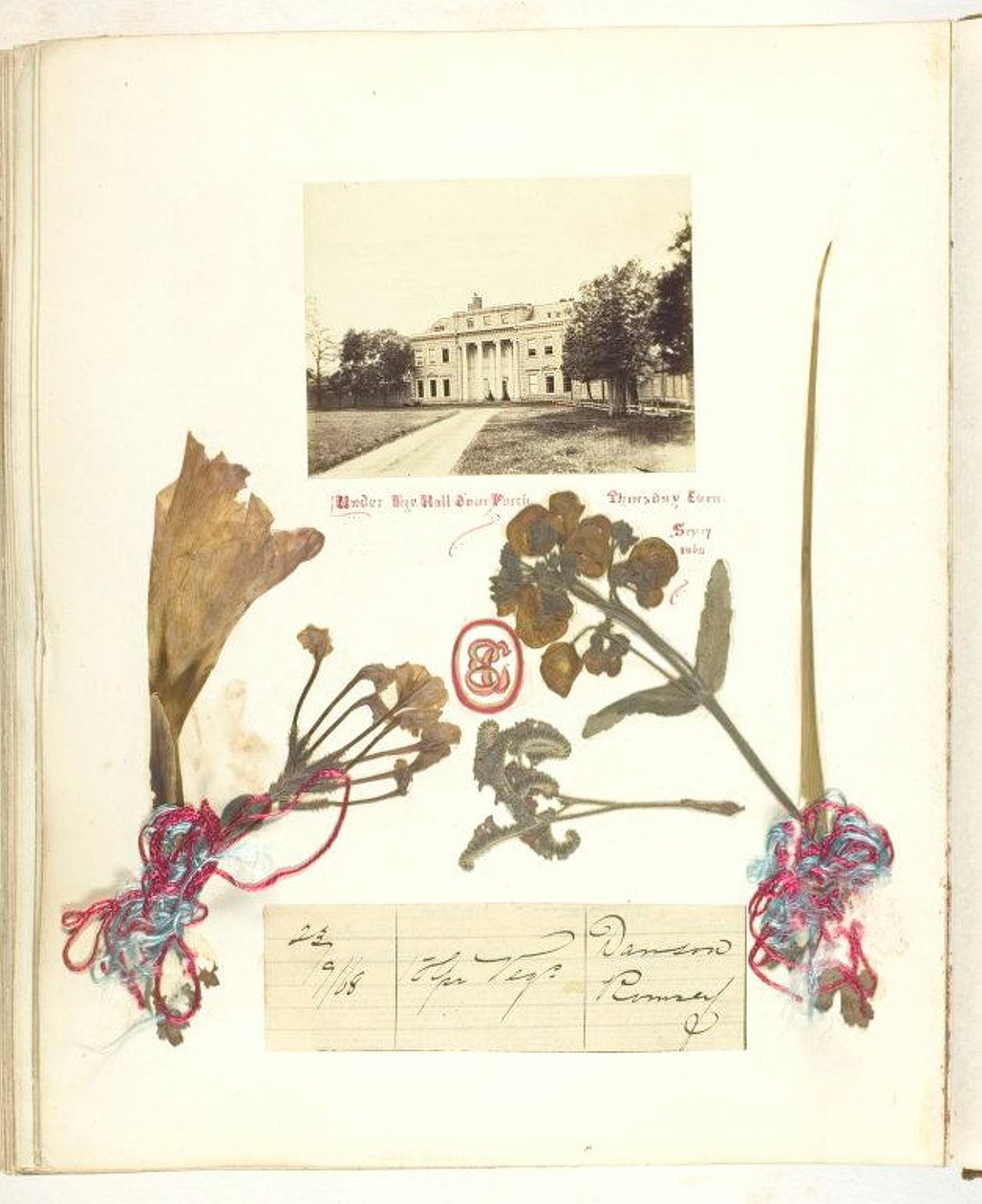 Sin título [vista de Broadlands con flores secas] de Georgina Cowper