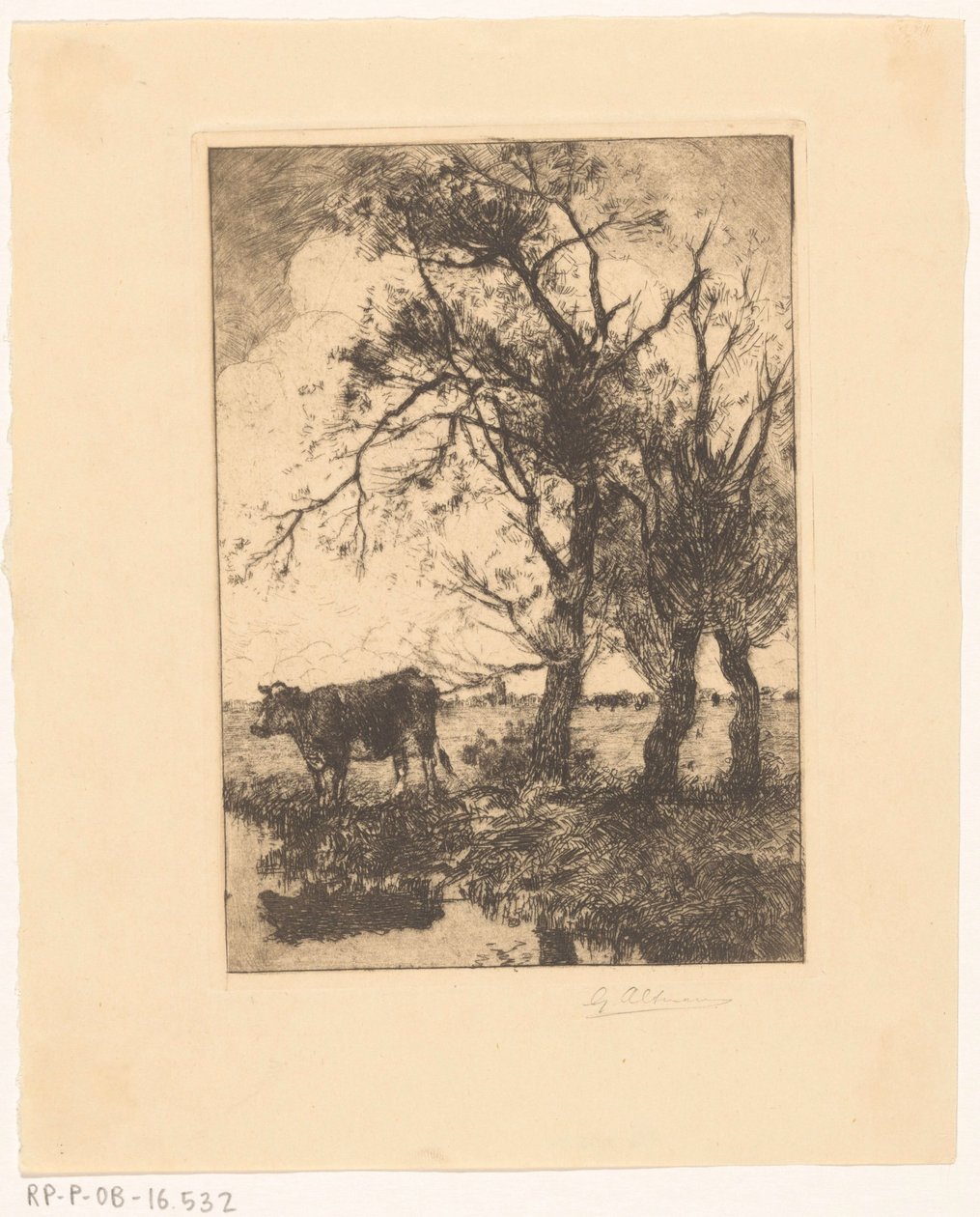 Vaca en el paseo marítimo de Gerard Altmann (signed by artist)