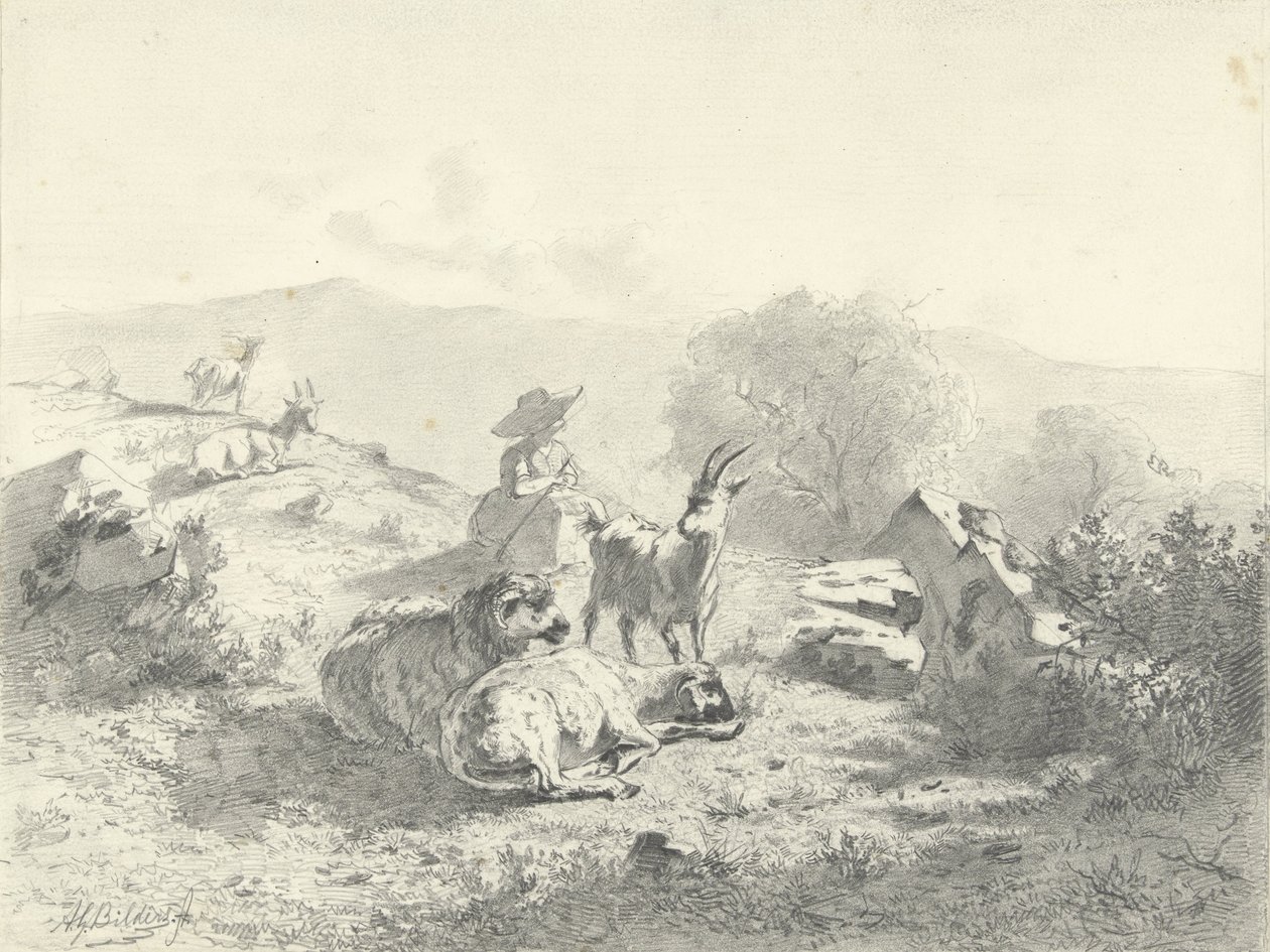 Pastora con cabras y ovejas en un paisaje montañoso de Gerard Bilders