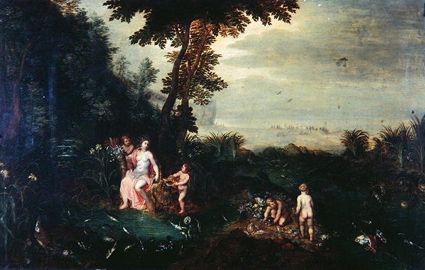 Agua de Gerard Hoet