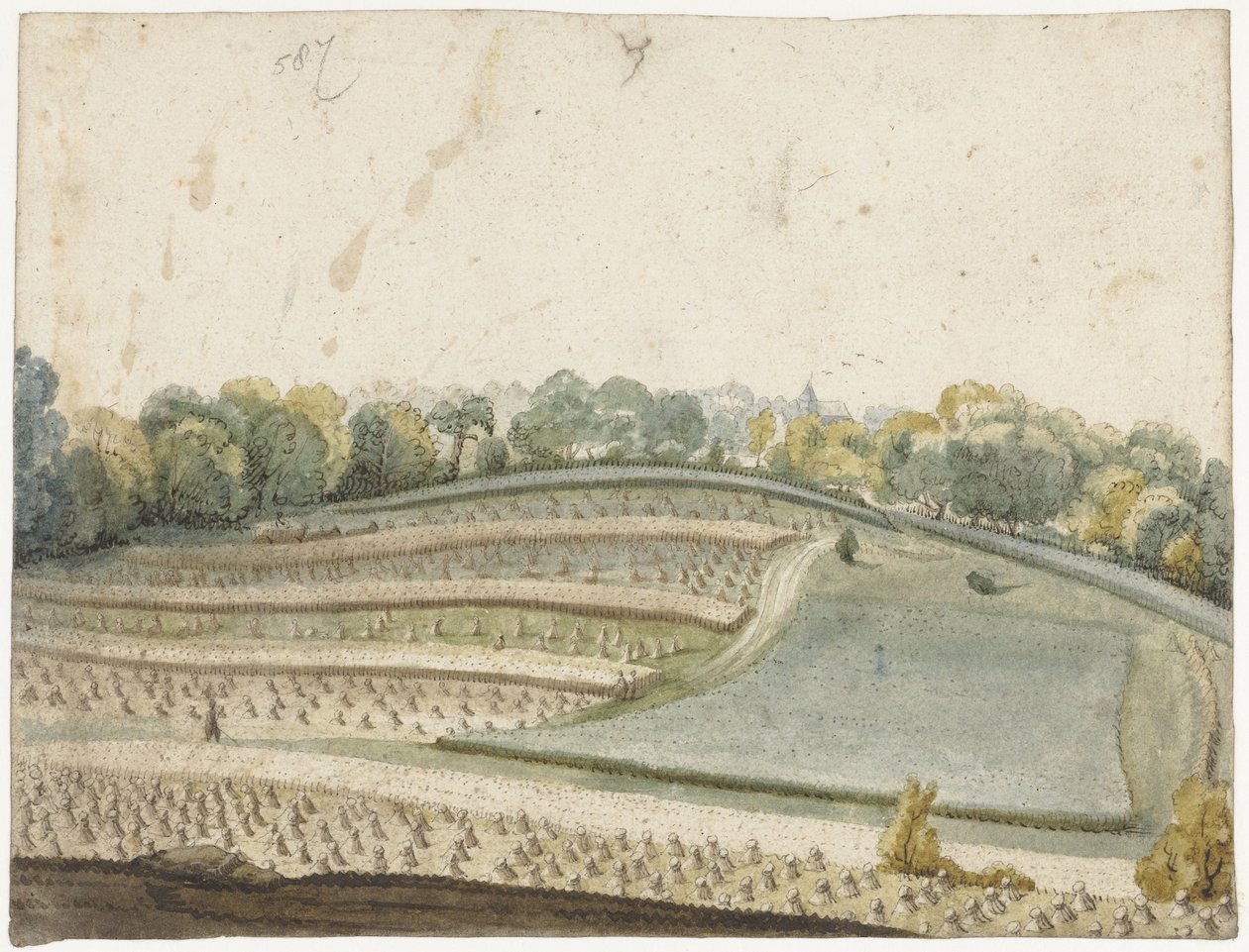 Panorama de un campo de cereales ondulado visto desde arriba de Gerard ter Borch (I)